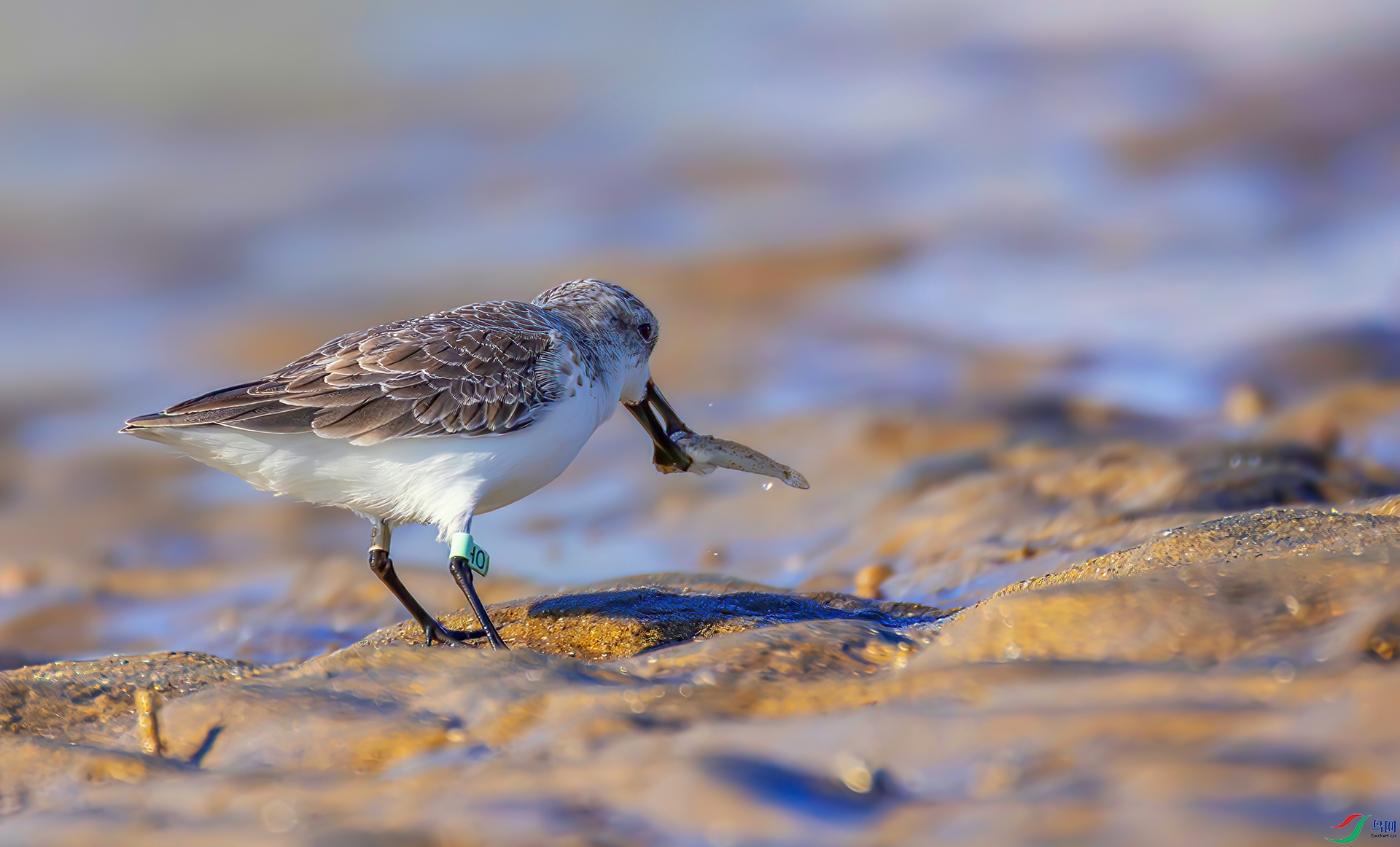 407A8129-----3333  .jpg