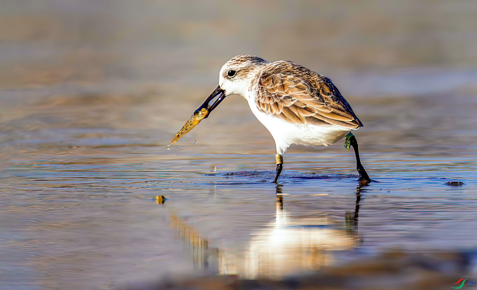 407A8053------3333  .jpg