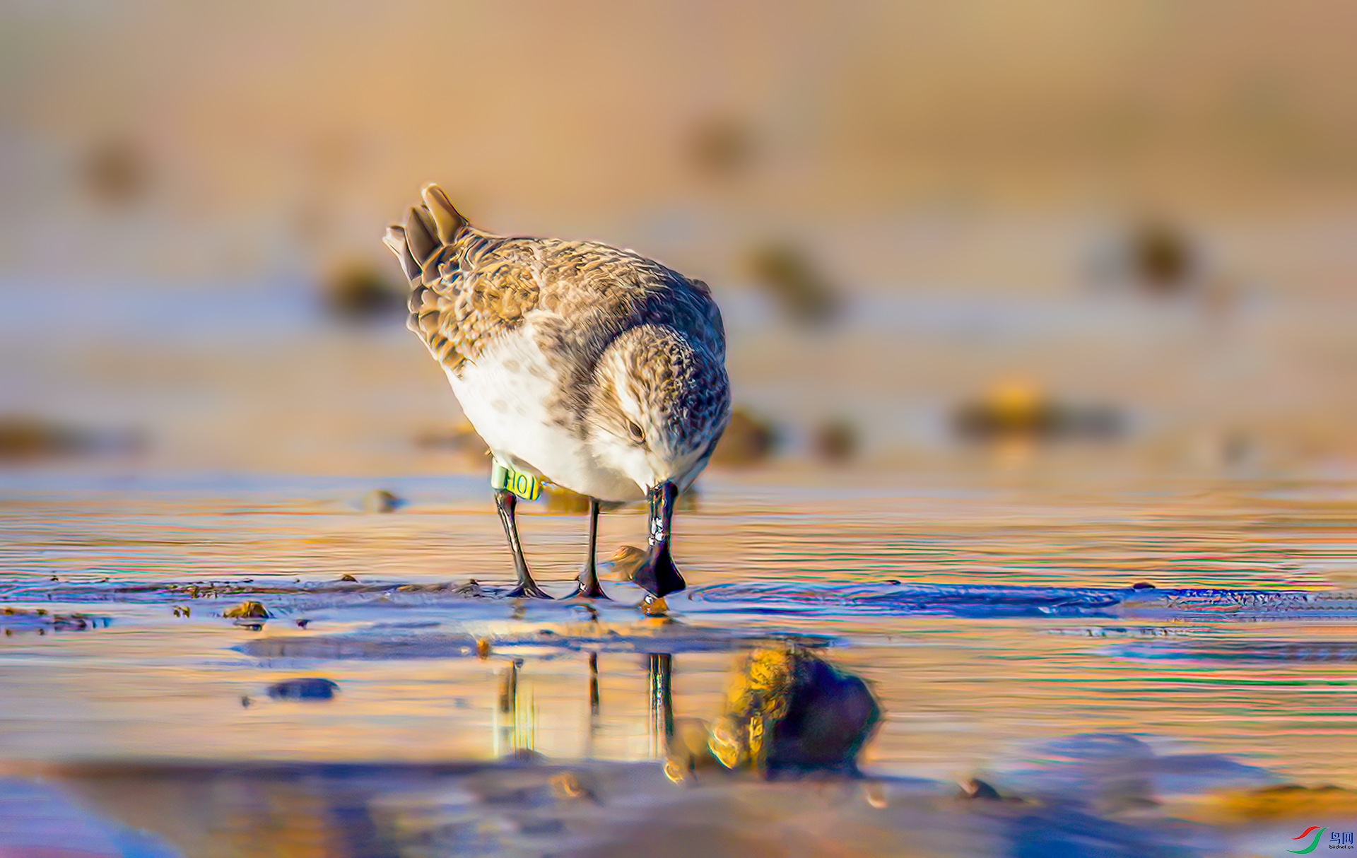 407A7482-----3333  .jpg