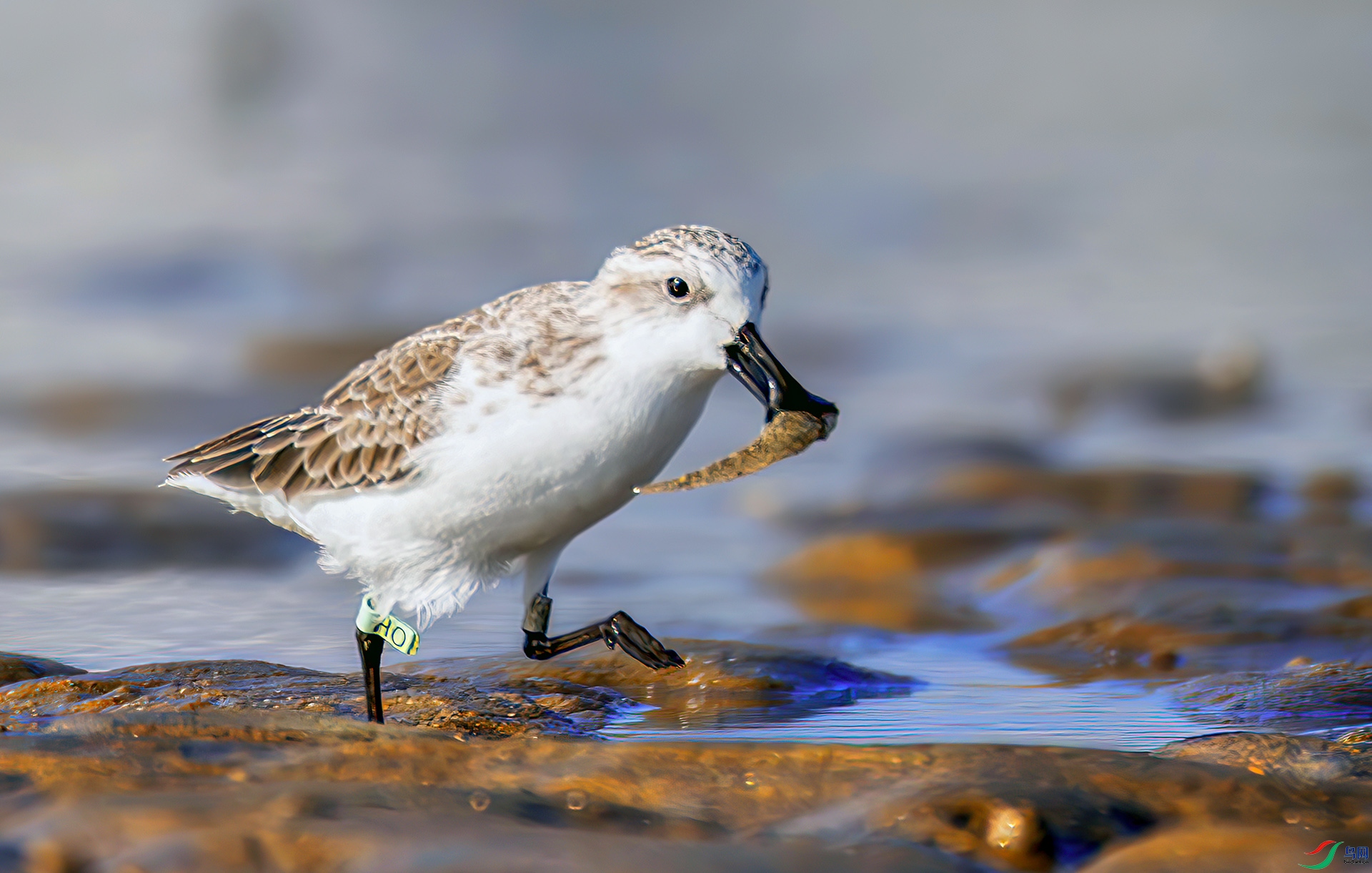 ף����ʦ��Ʒ�ٻ����������407A8084------3333  .jpg