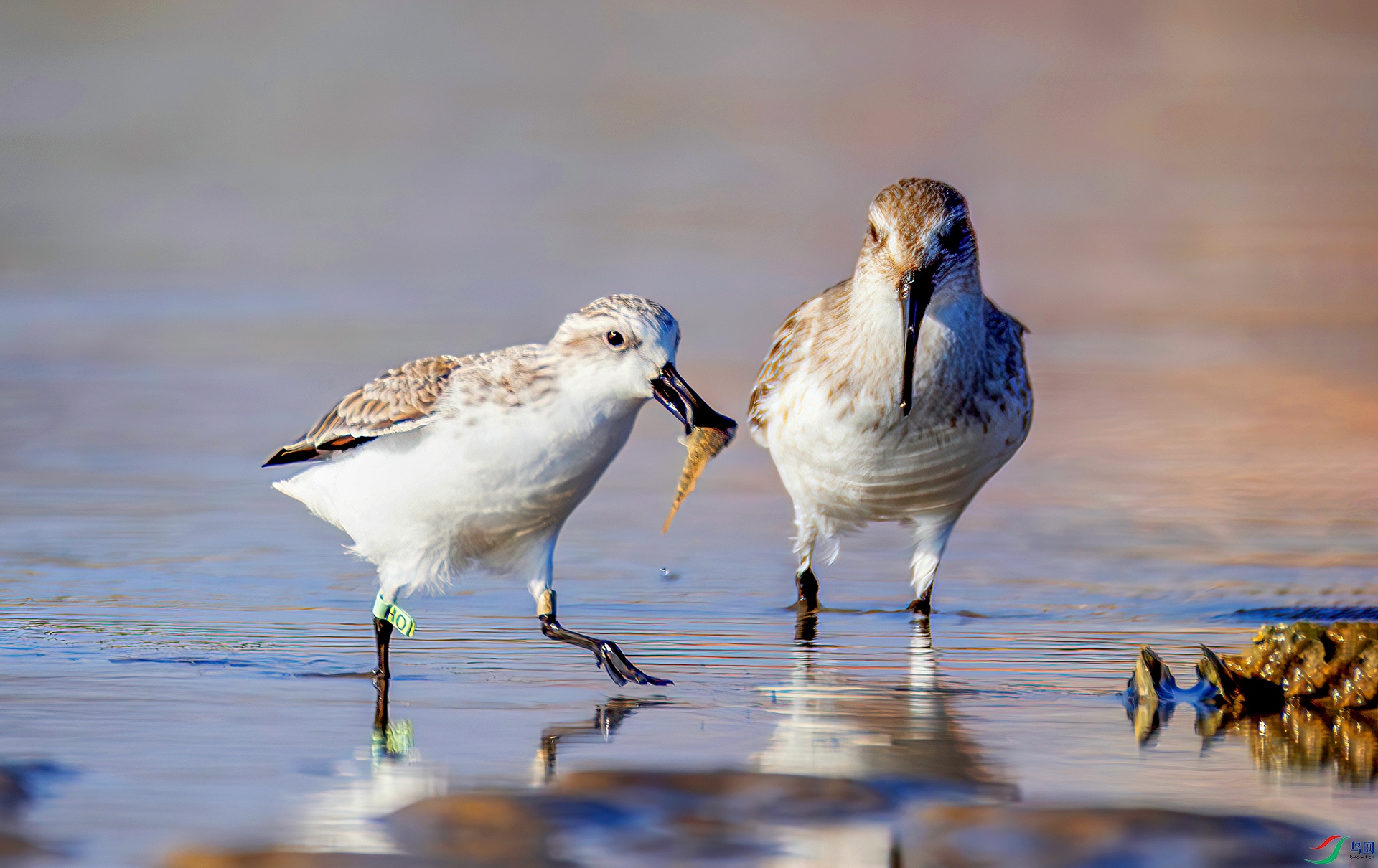 ף����ʦ�ٻ�������������407A8054-----22  .jpg