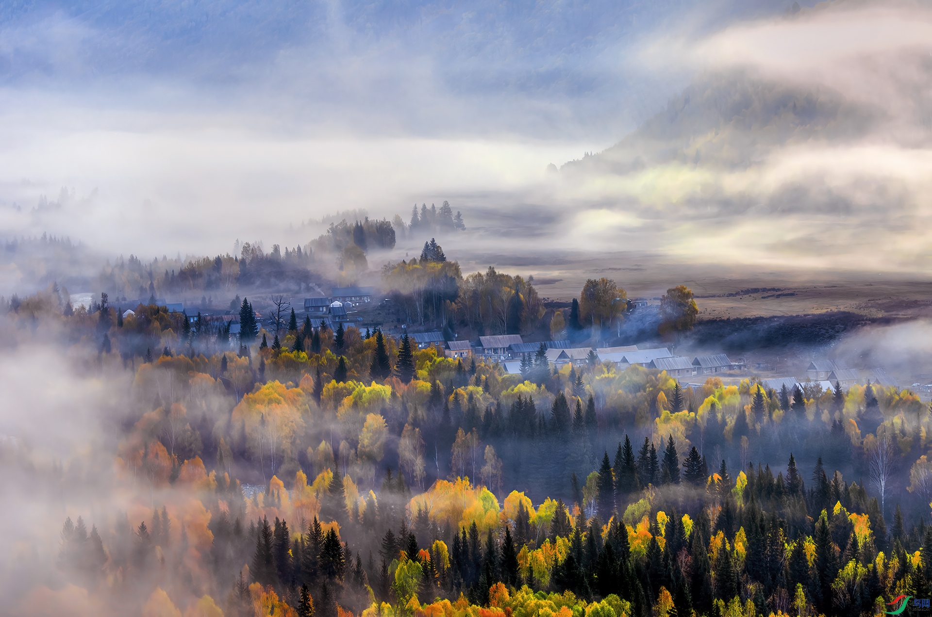 _DSC9247- ��ľ����糿.jpg