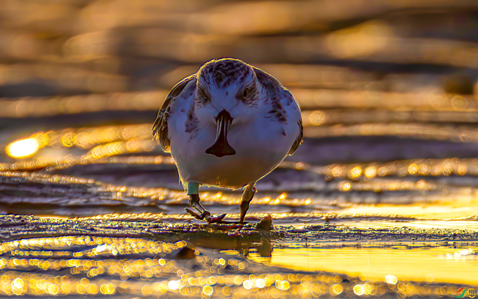 407A3046-----3333  .jpg