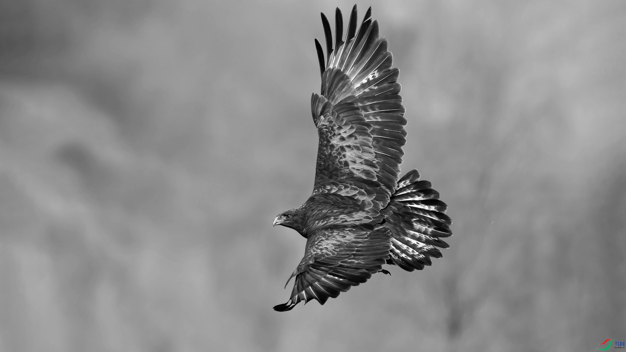 DSC_9930-20240201ӡ�� 1.jpg