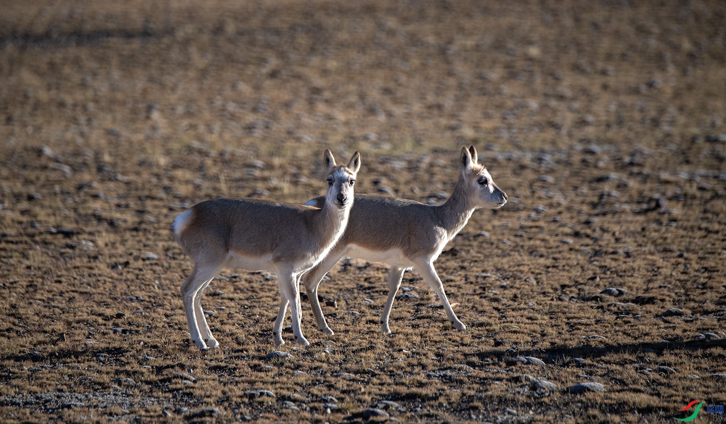 _DSC4946 ����.jpg