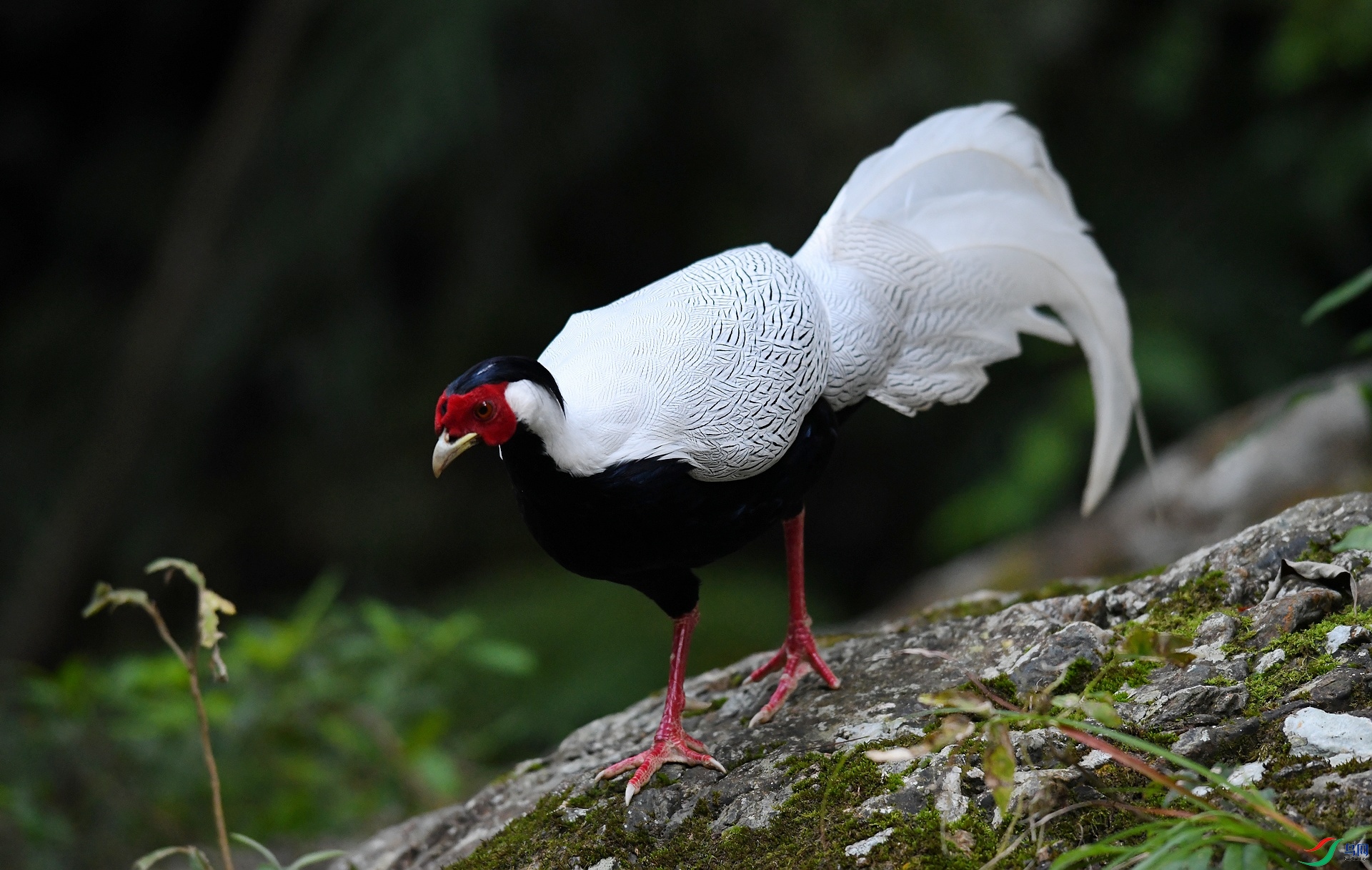 DSC_3342.jpg