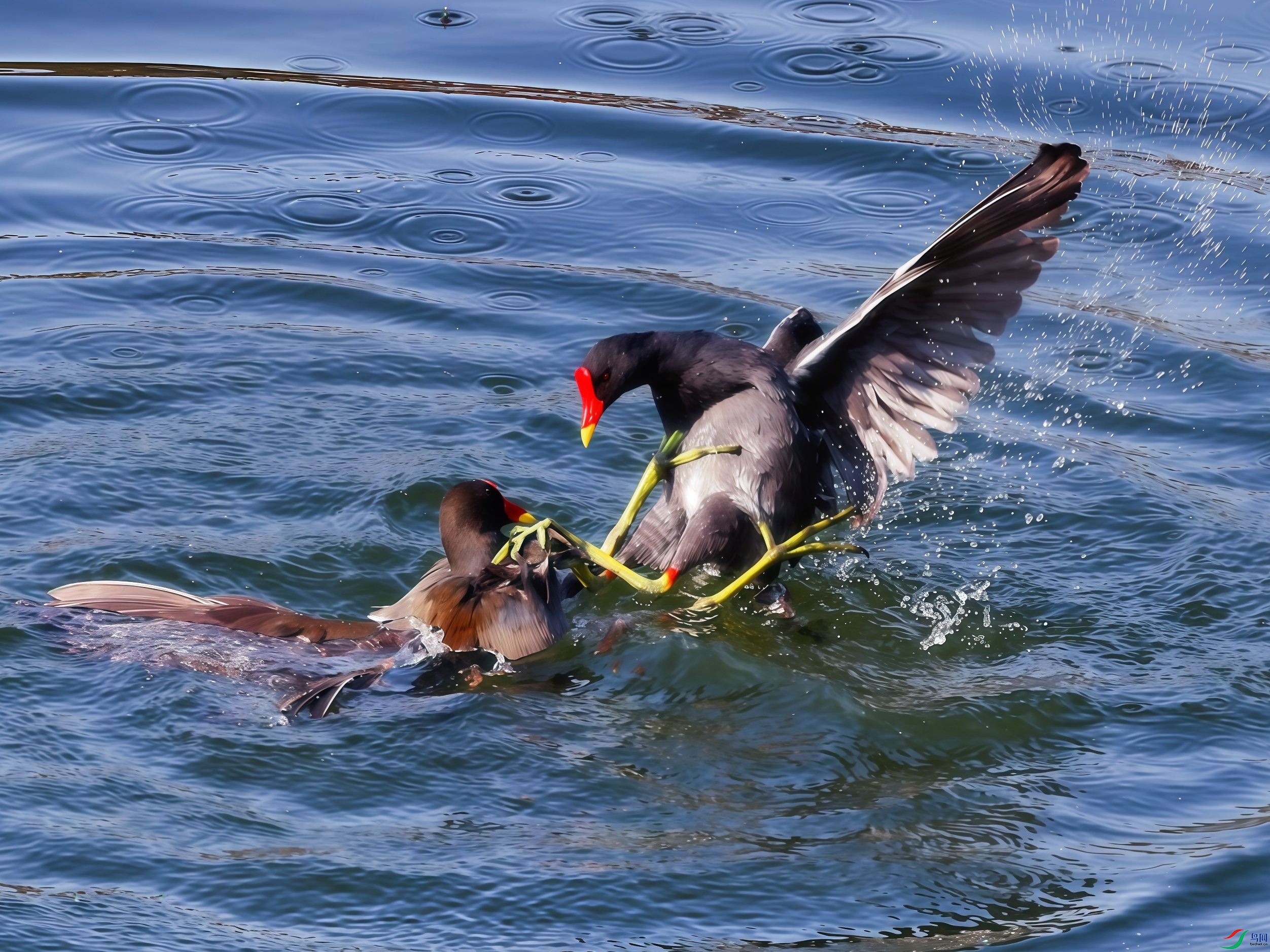 ��ˮ����ս