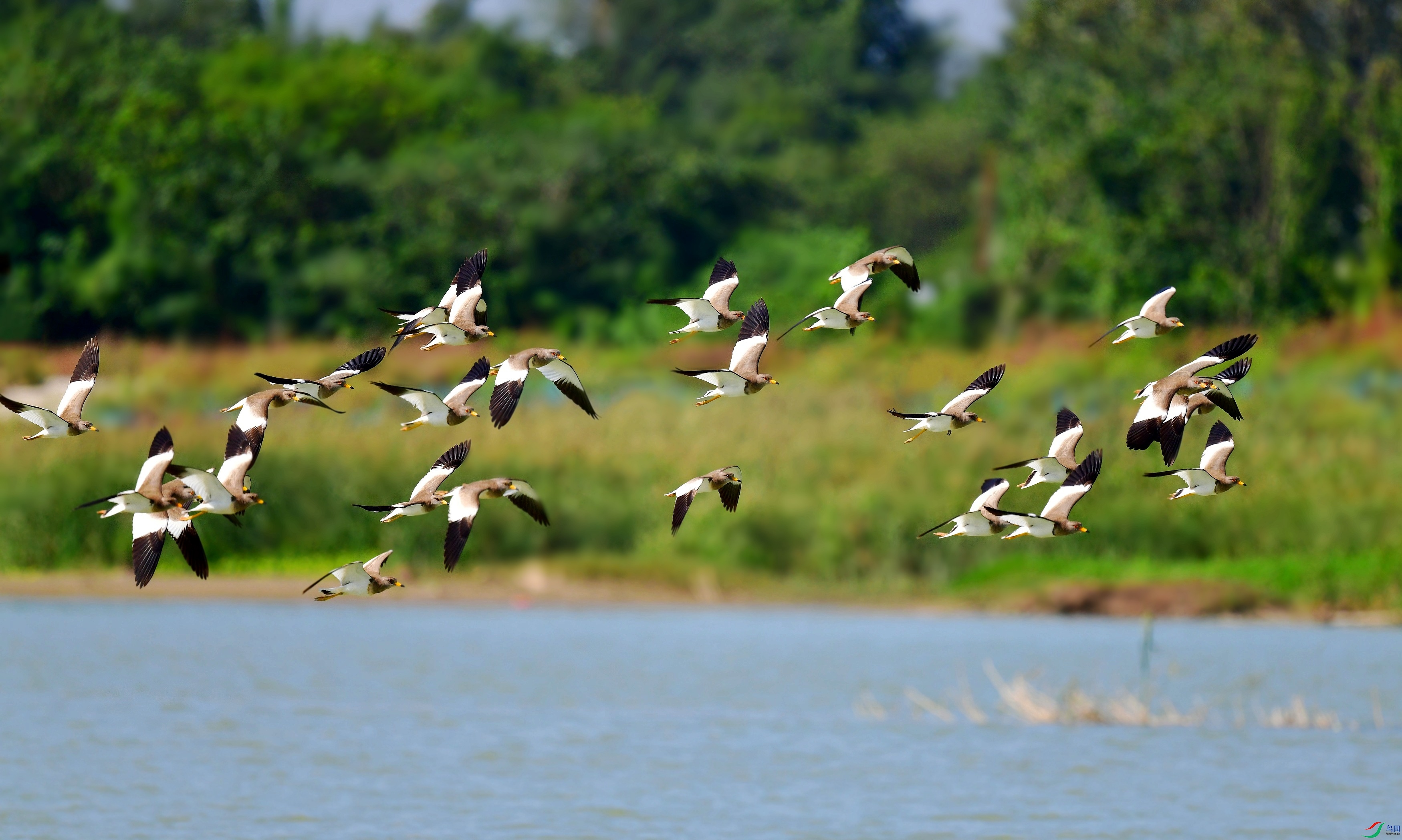 DSC_9472_conew11.jpg