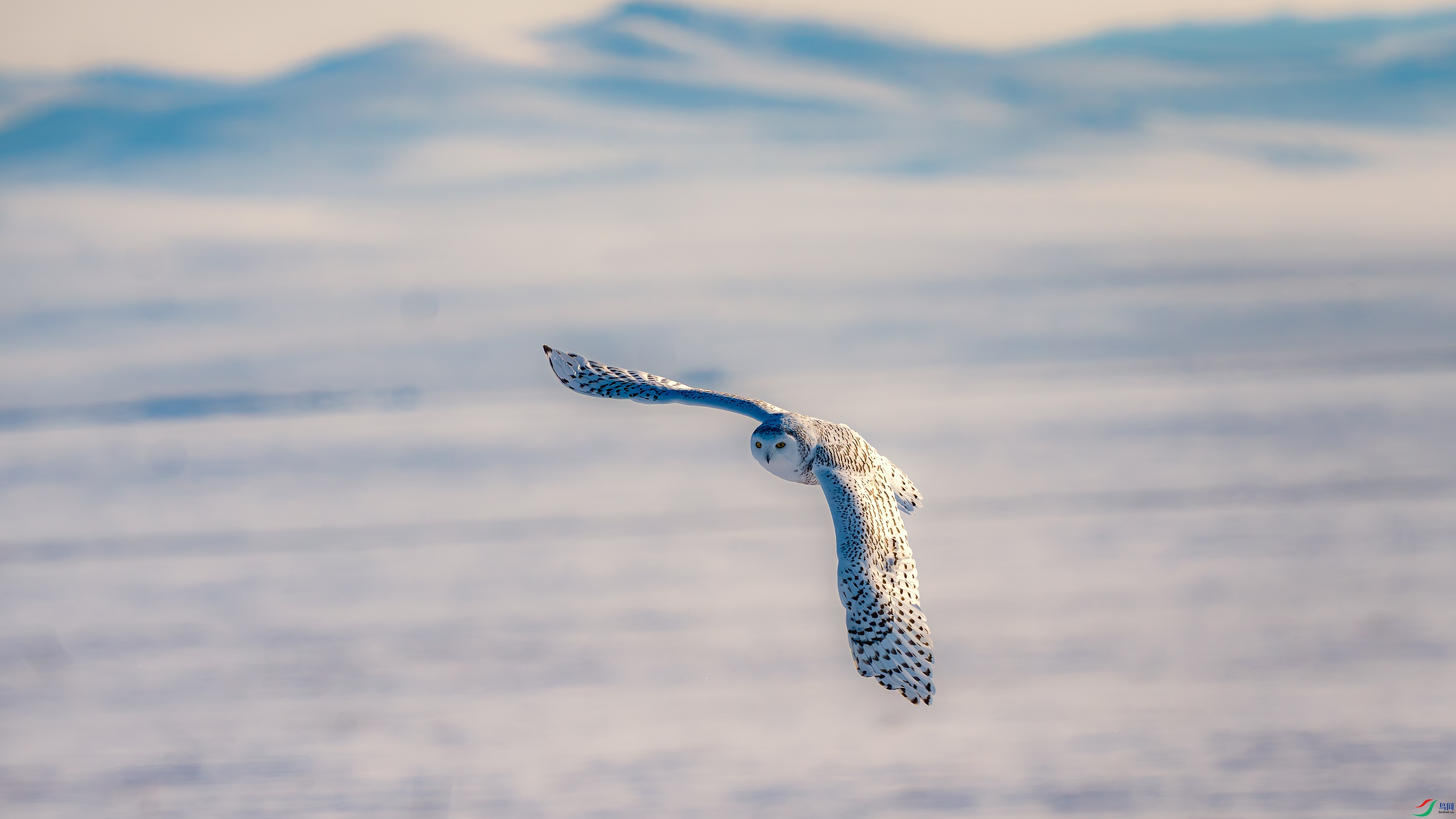 a_DSC4116_����.jpg
