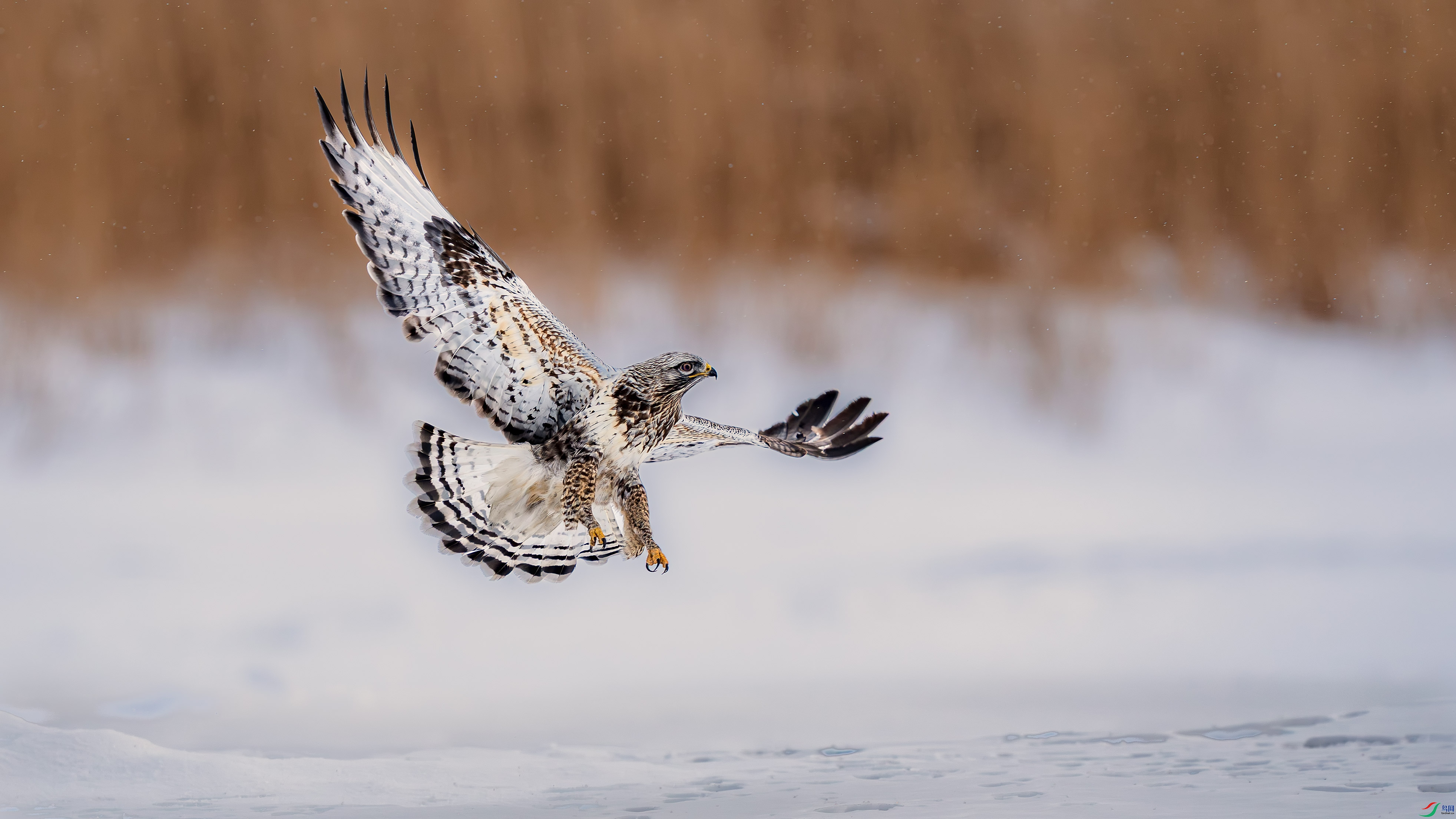 a_DSC4353_����.jpg