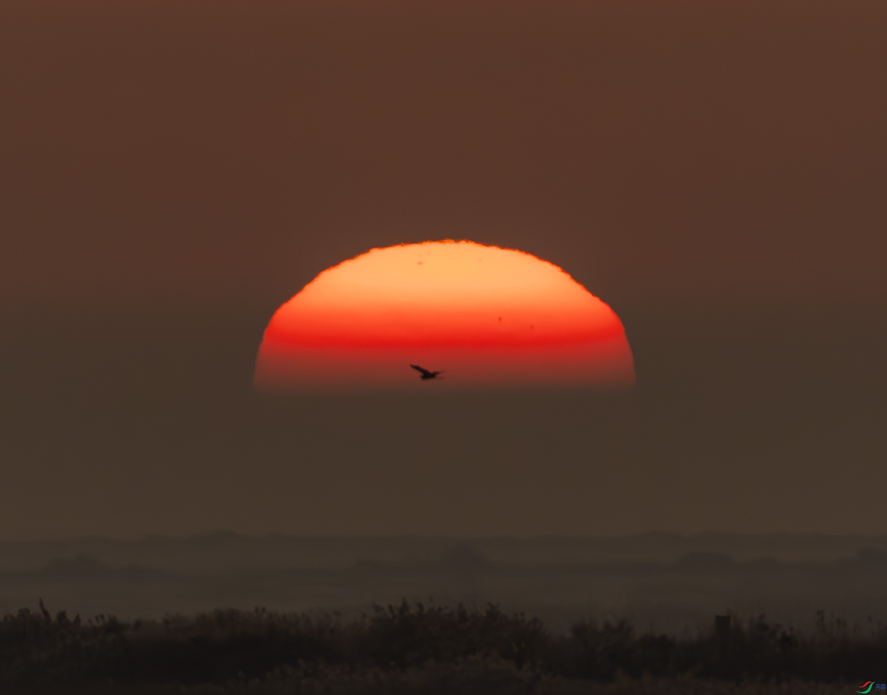 ������-01-1.jpg