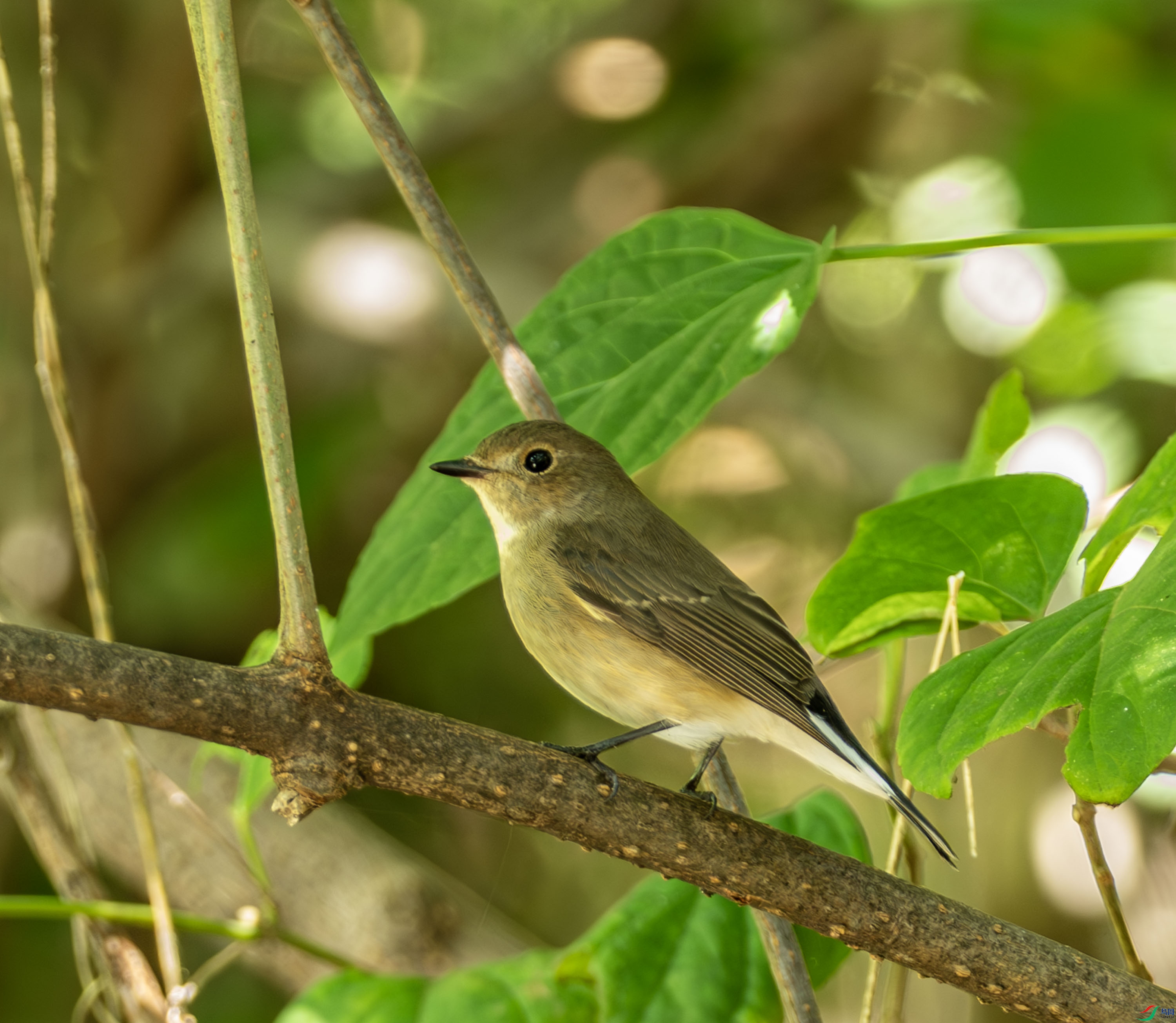 ������l-8.jpg