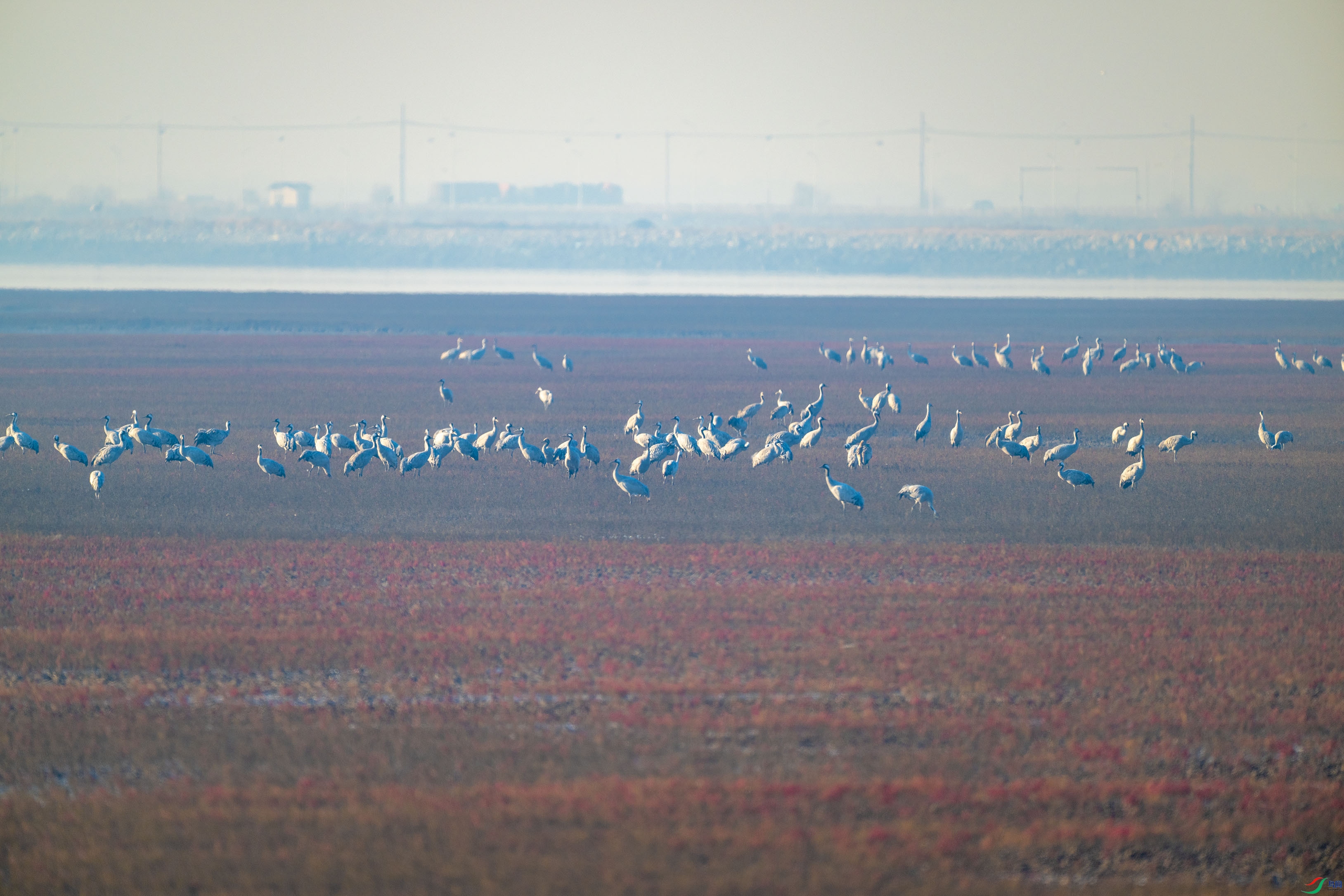 DSC_0013.jpg