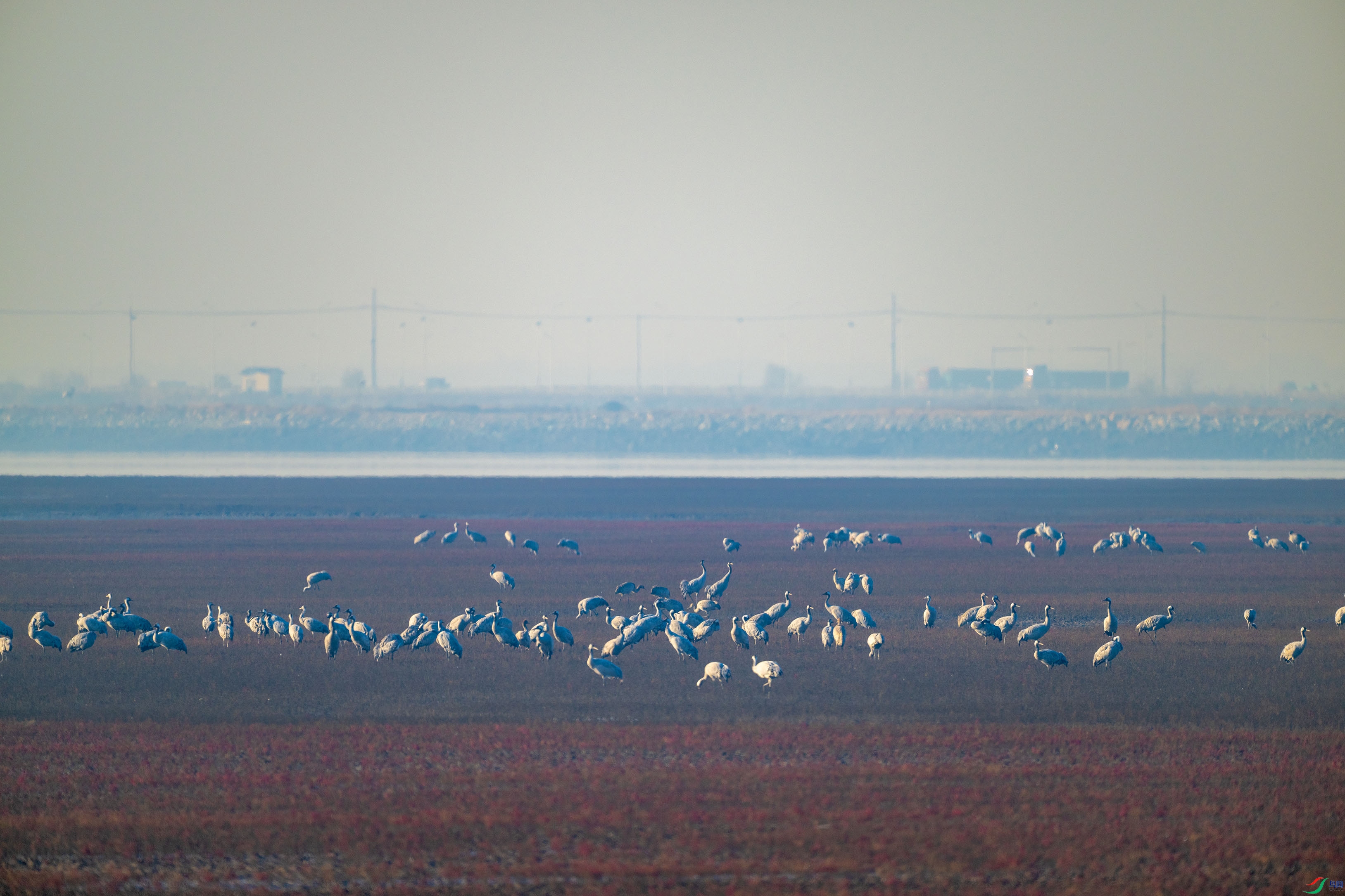 DSC_0022.jpg