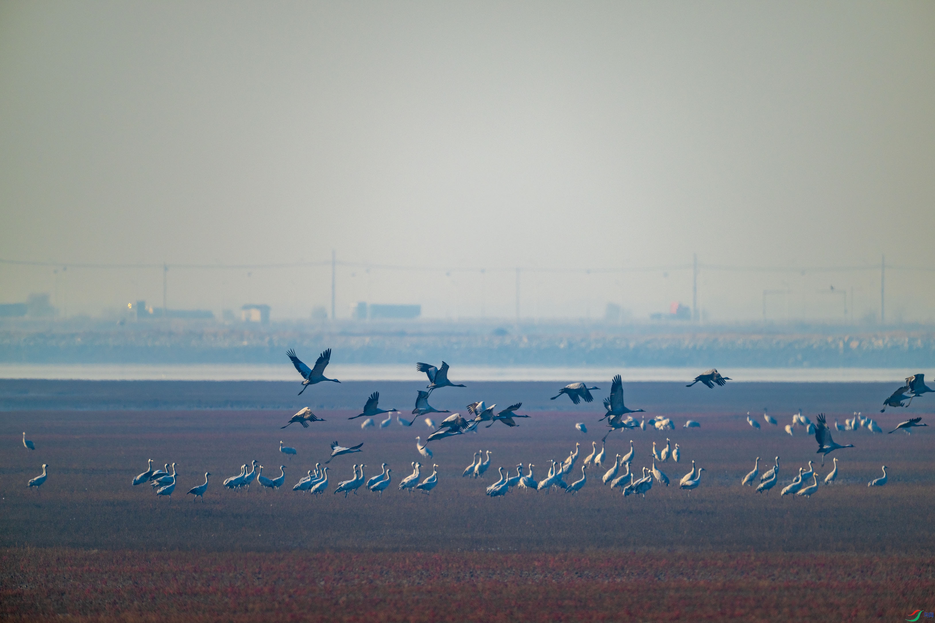 DSC_0023.jpg