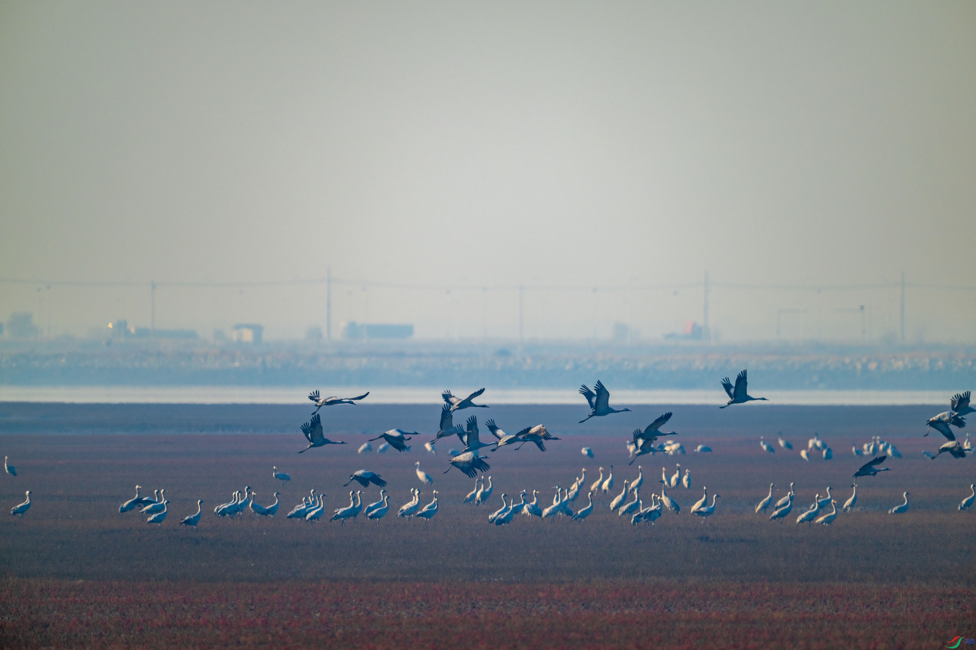 DSC_0024.jpg