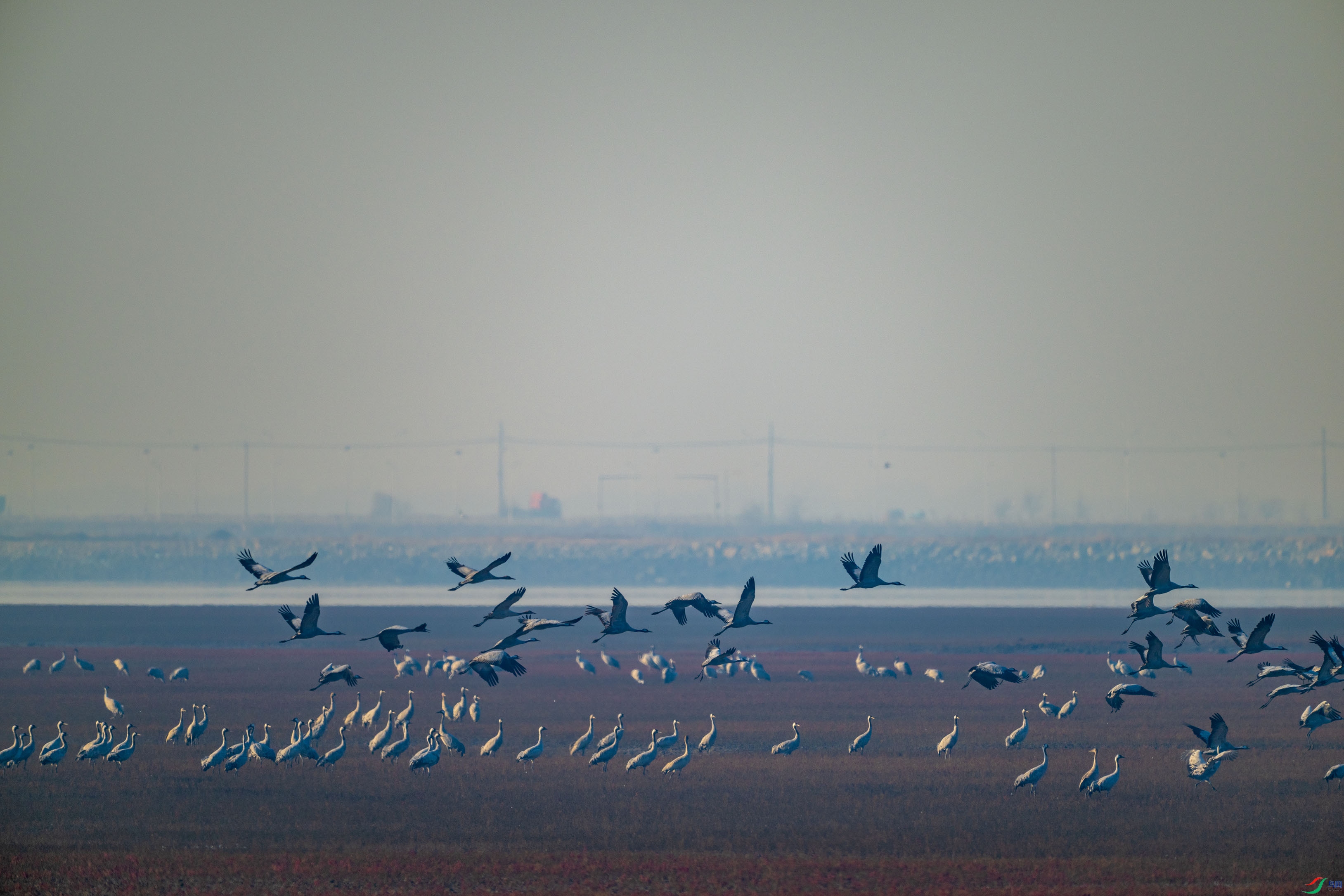 DSC_0027.jpg