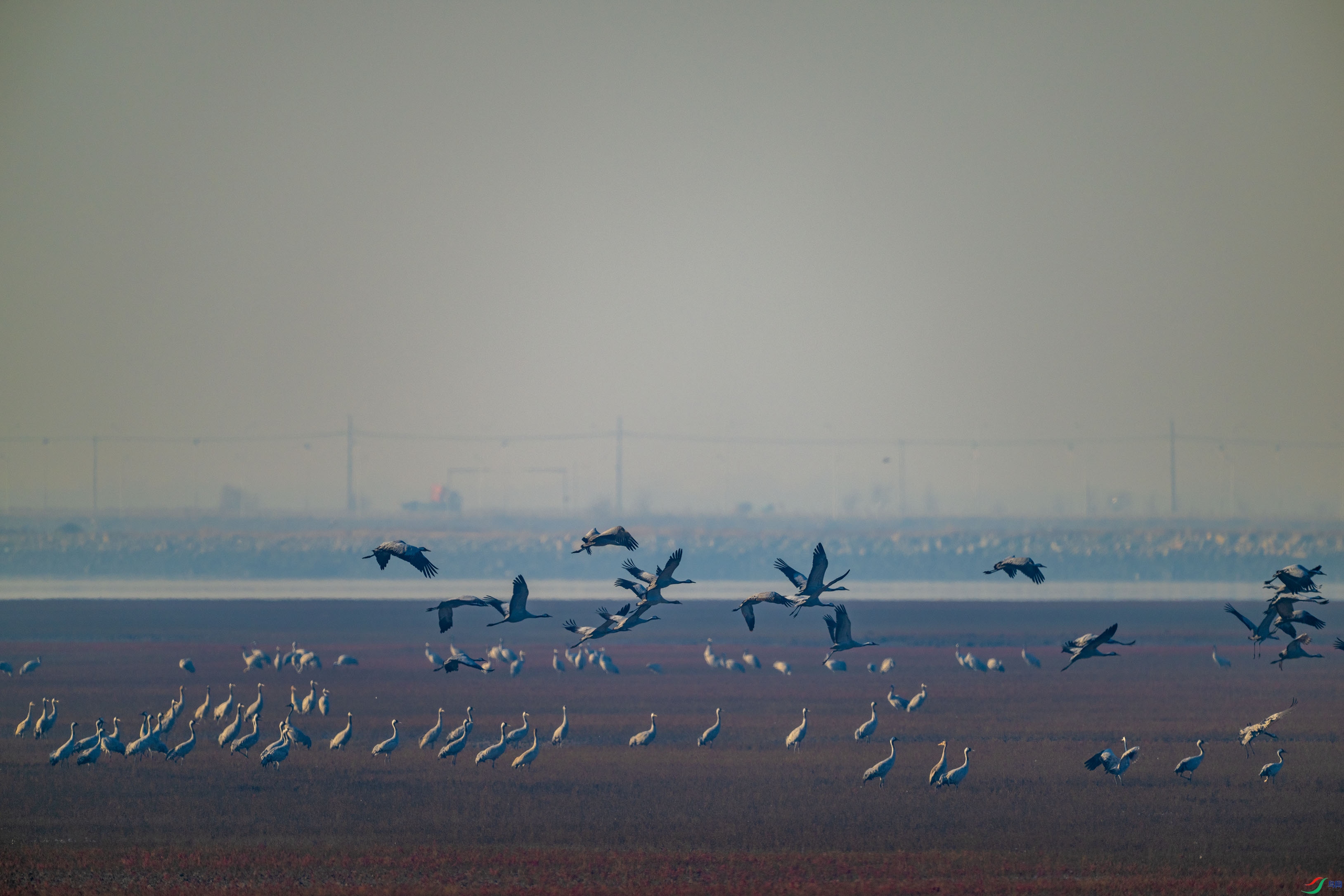DSC_0029.jpg