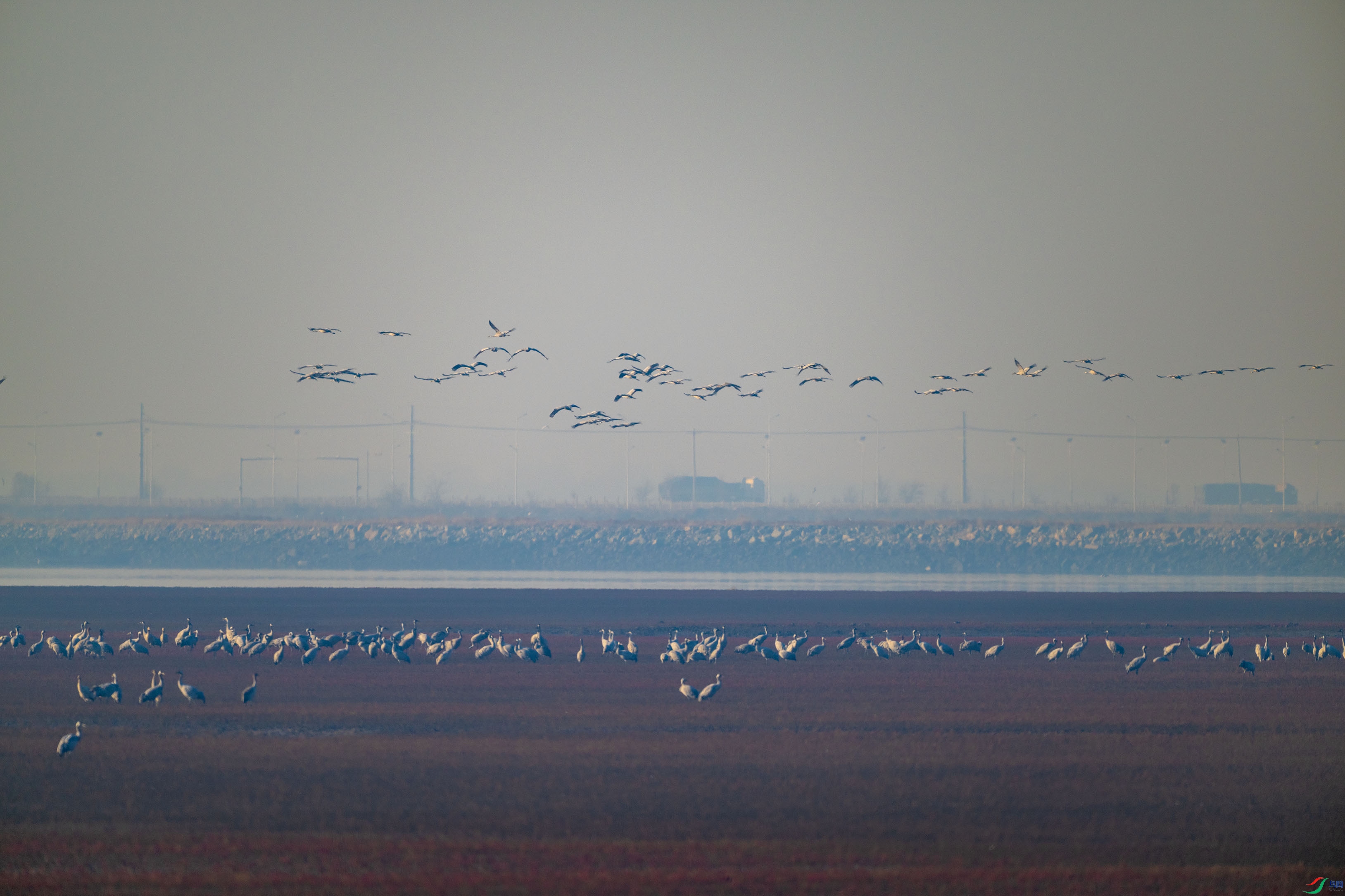 DSC_0128.jpg