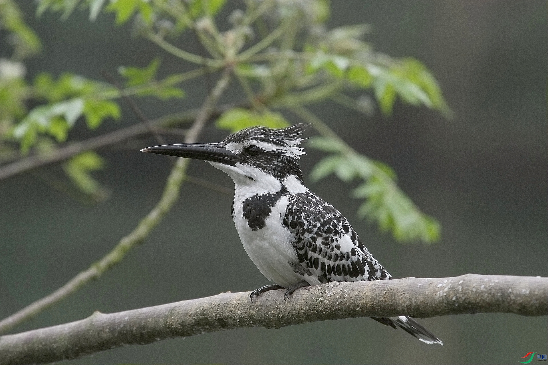 ����2 052���㹷1.jpg