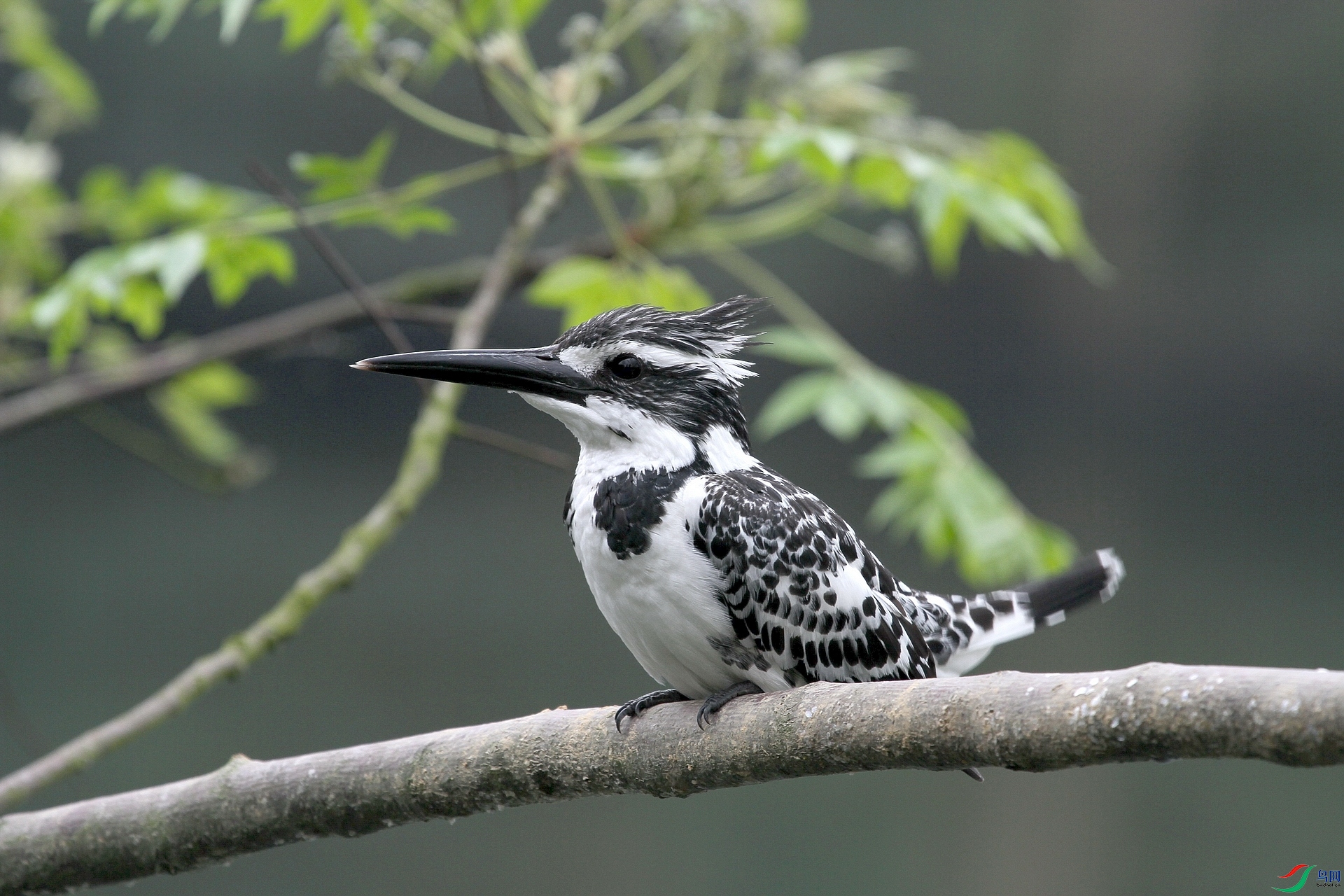 ����2 051���㹷2.jpg