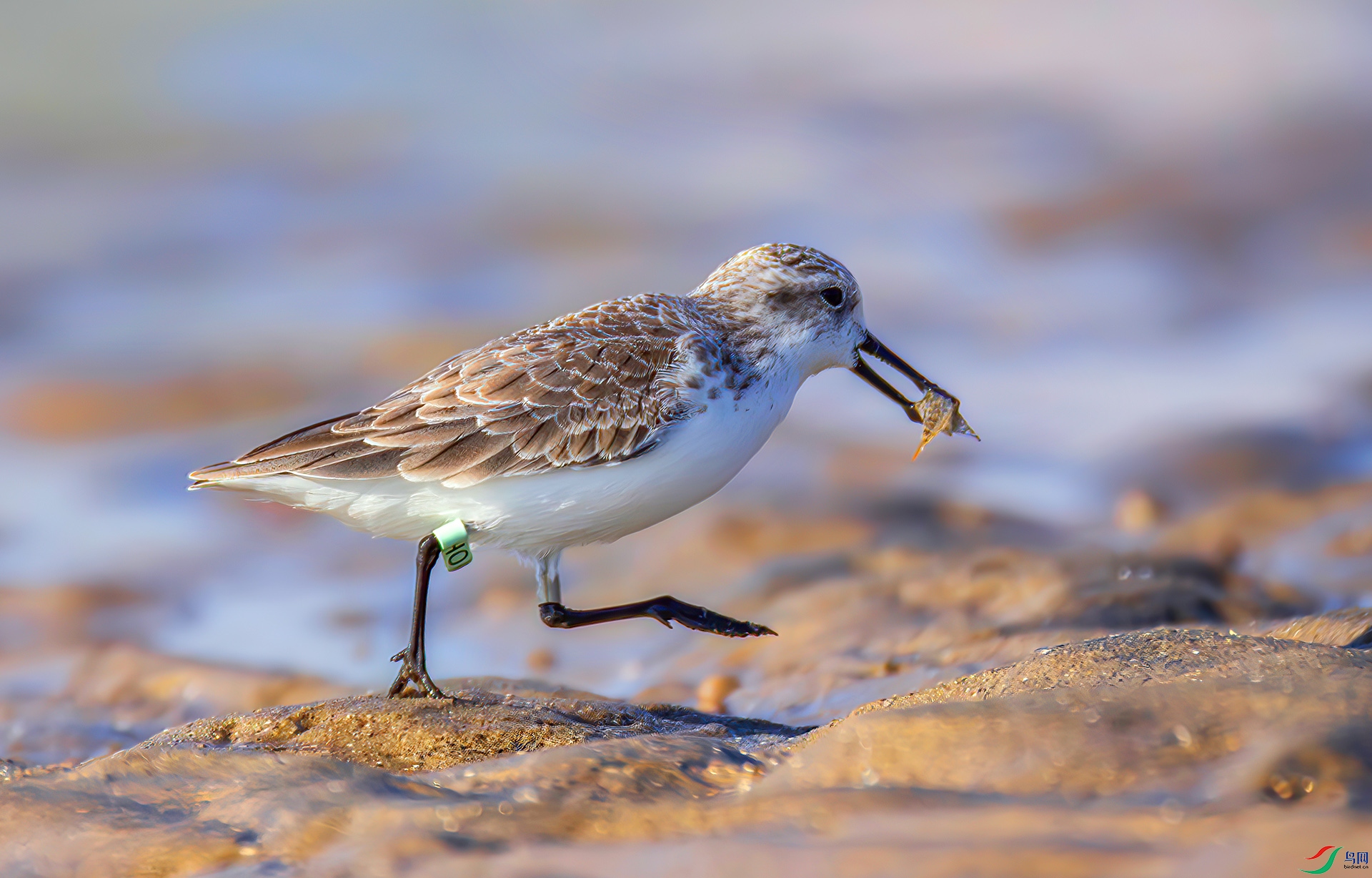 407A8135-----3333  .jpg