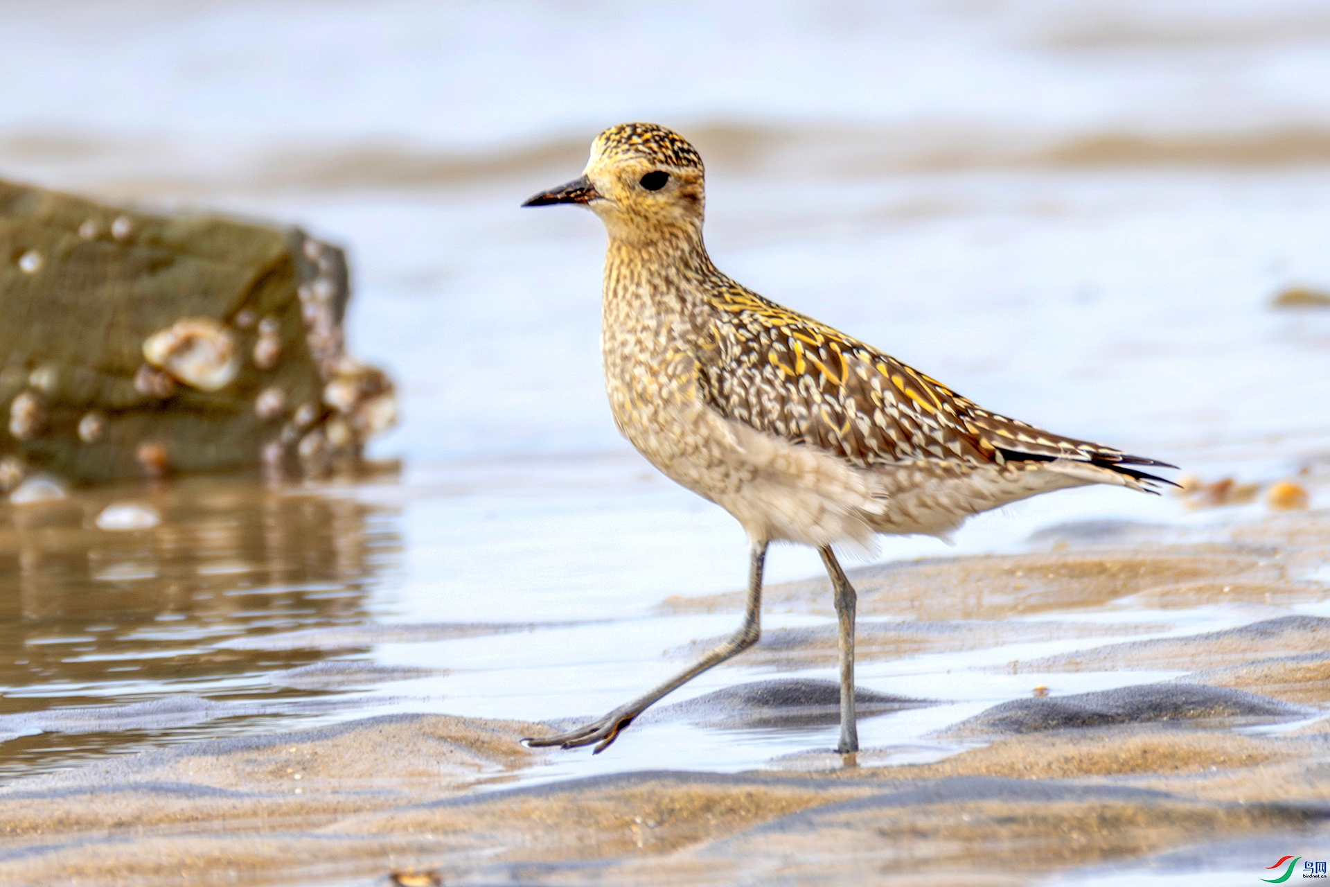 407A7200------22  �������͵Ľ���a.jpg