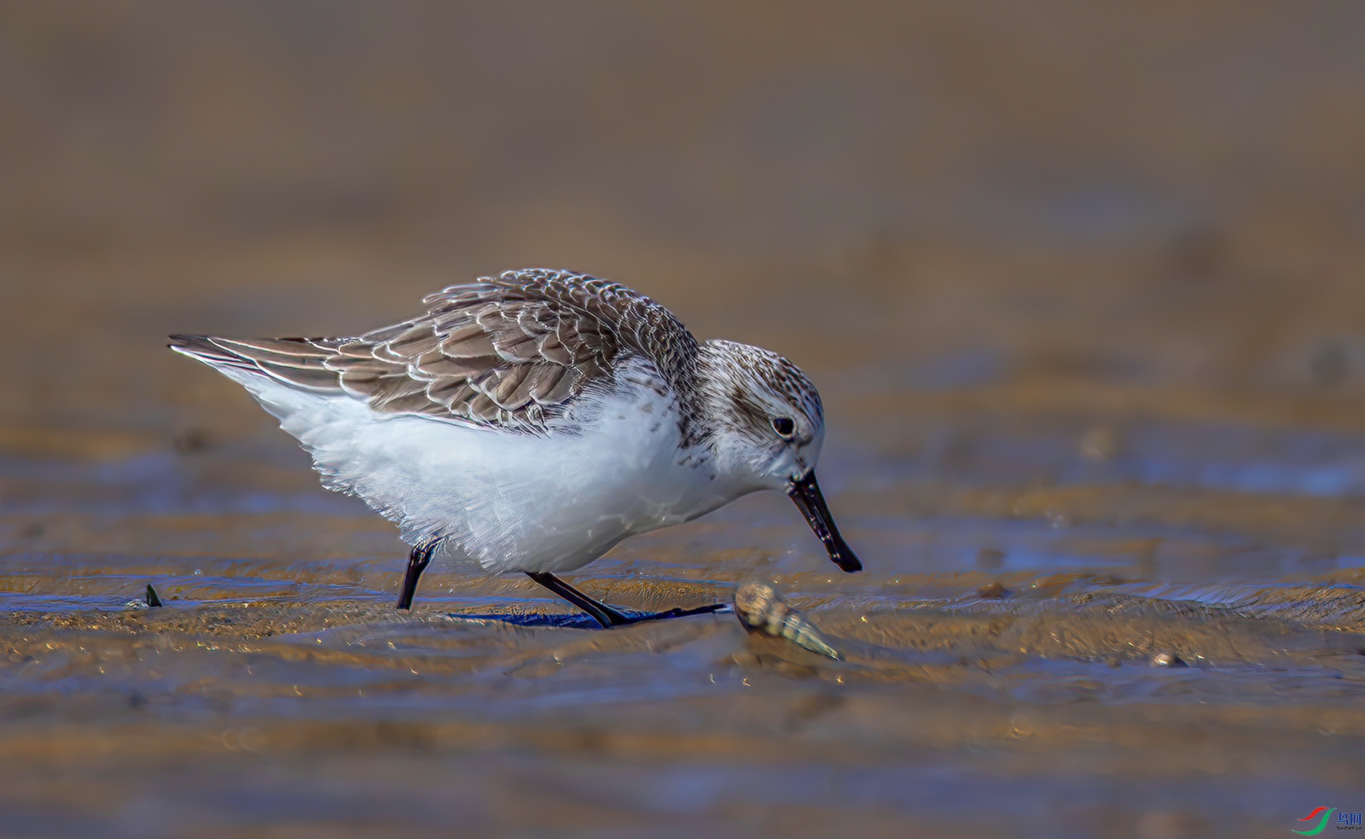 407A3261-----22  .jpg