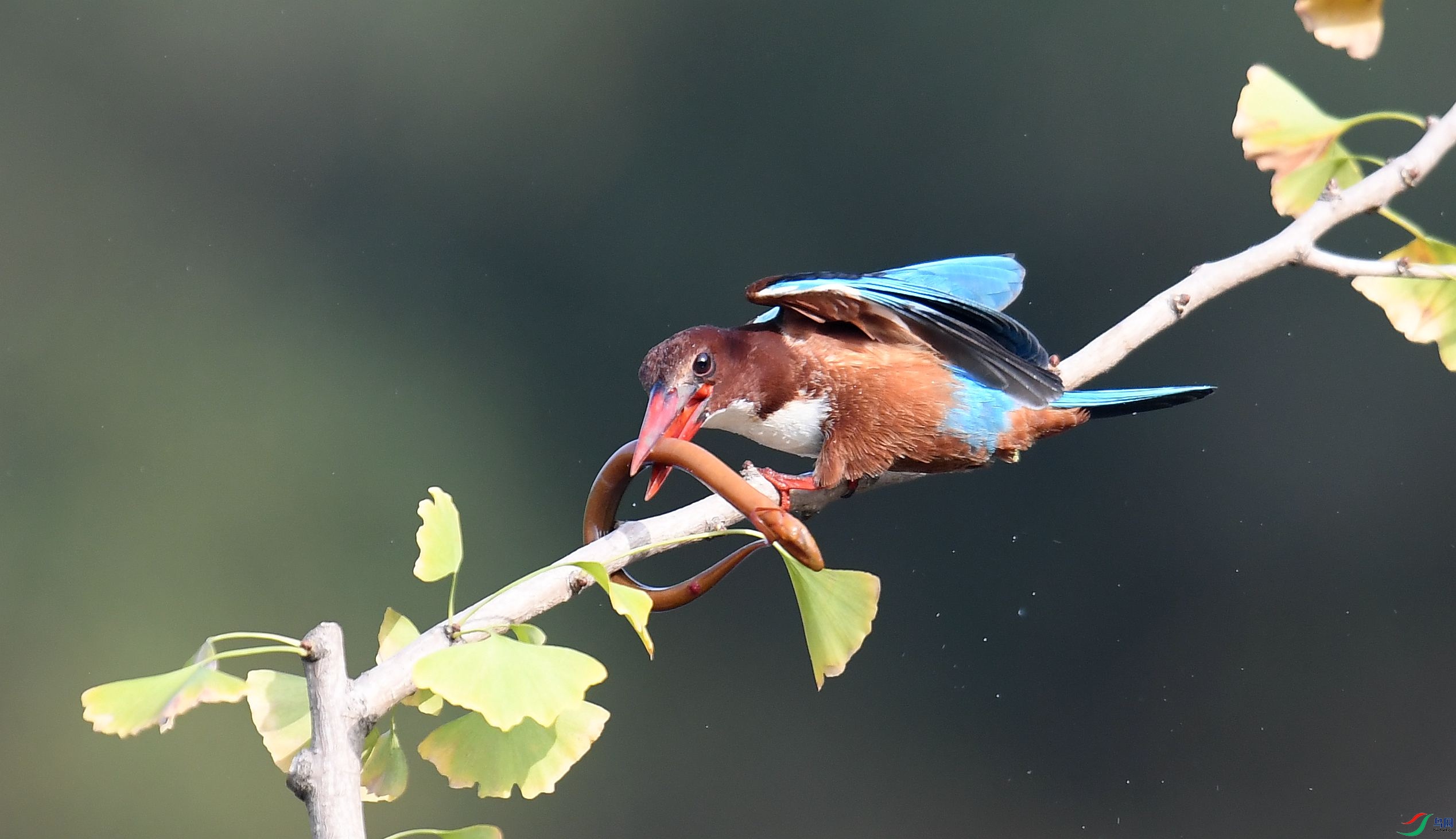 DSC_9440_����.jpg