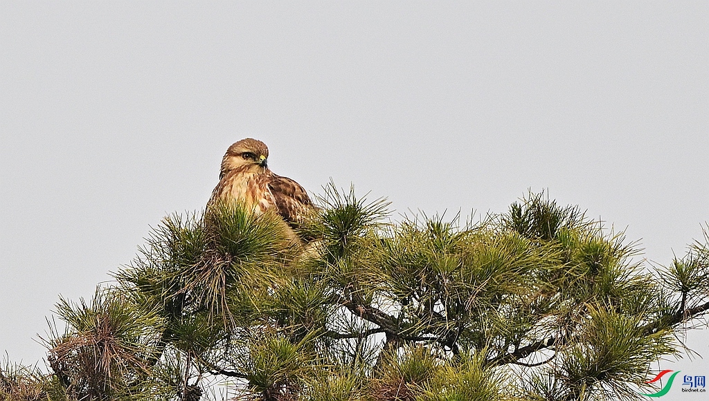 DSC_0548.JPG
