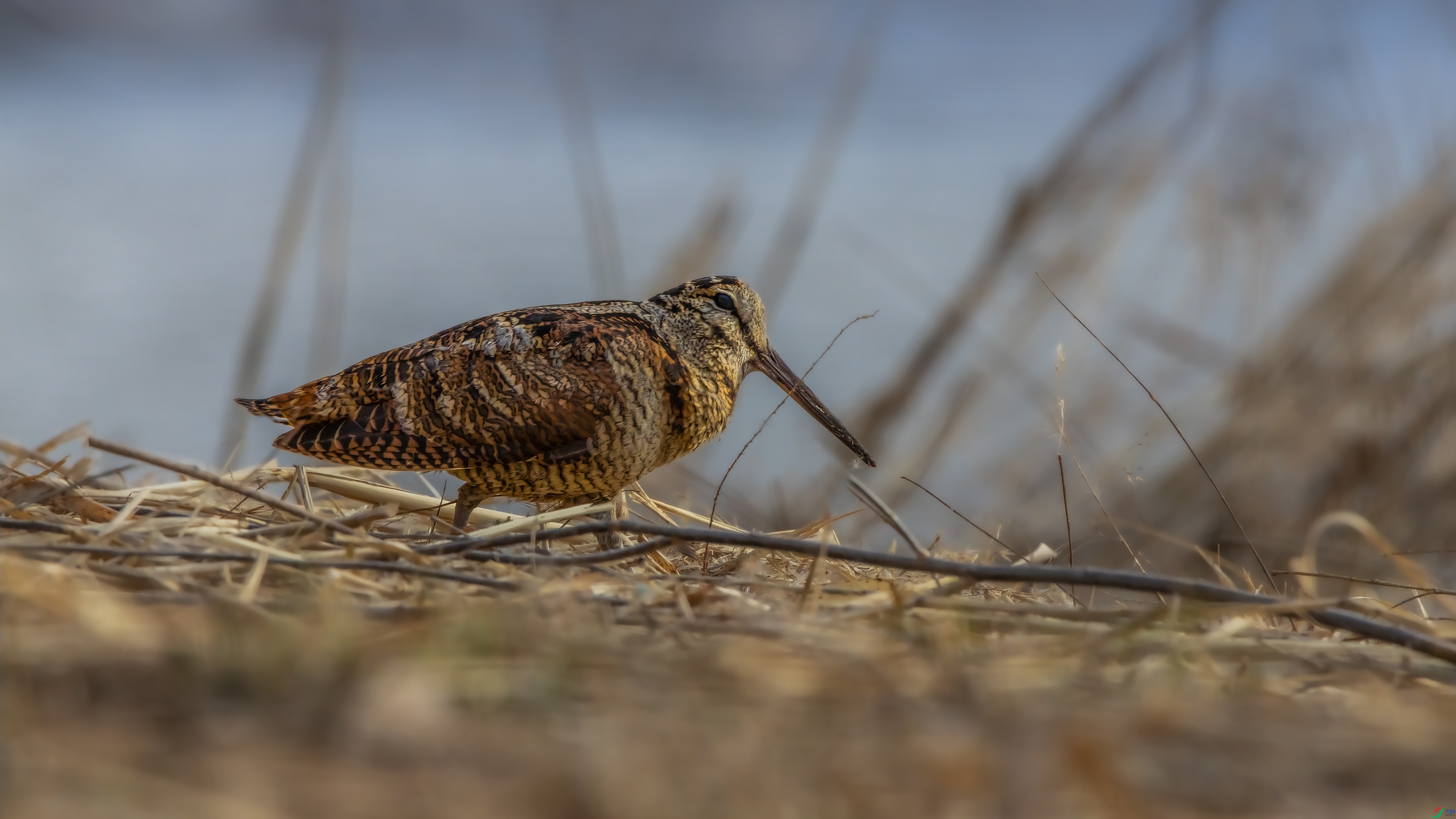 _O7A0081 ����444.jpg