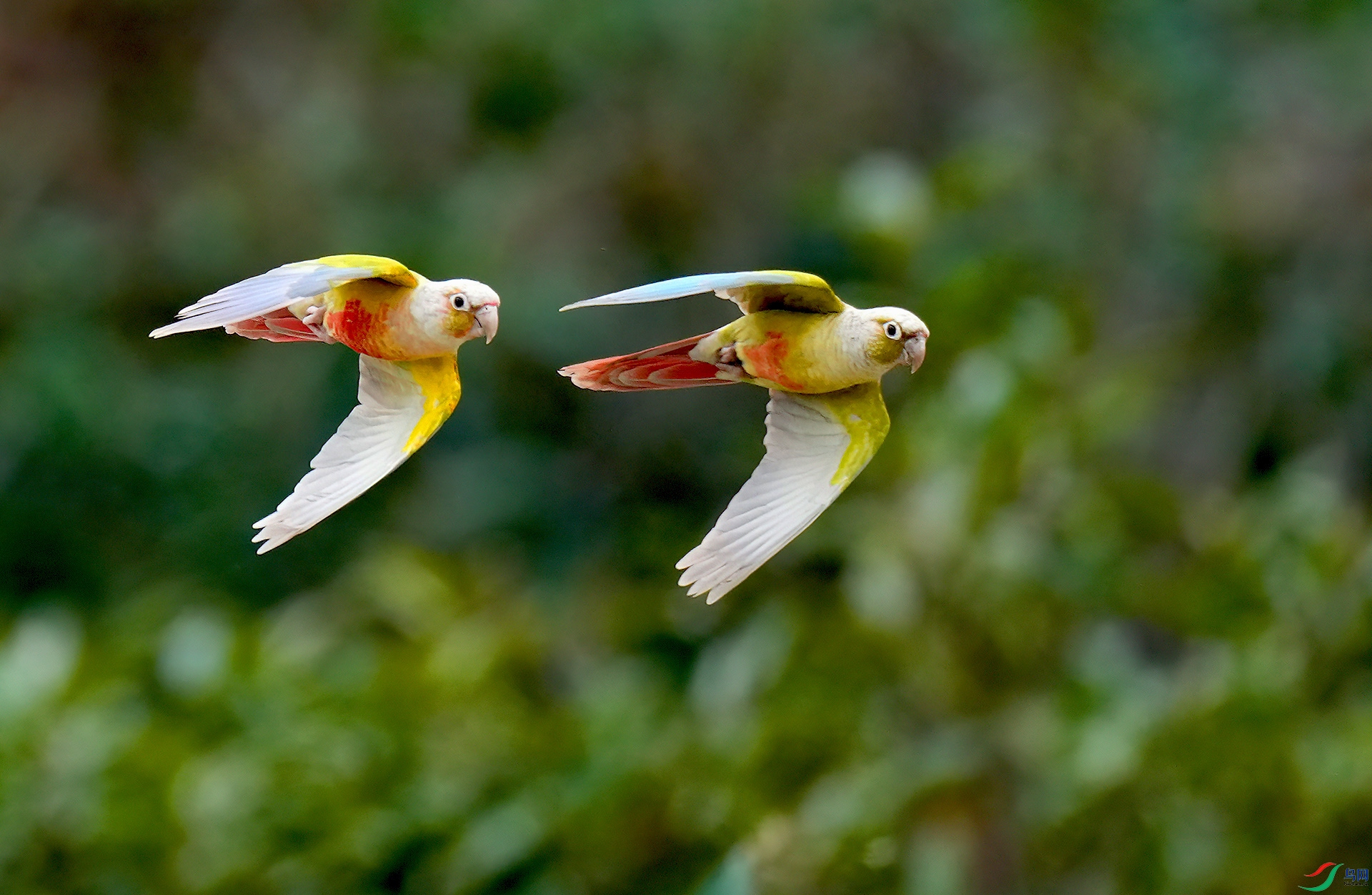 DSC00874--.jpg