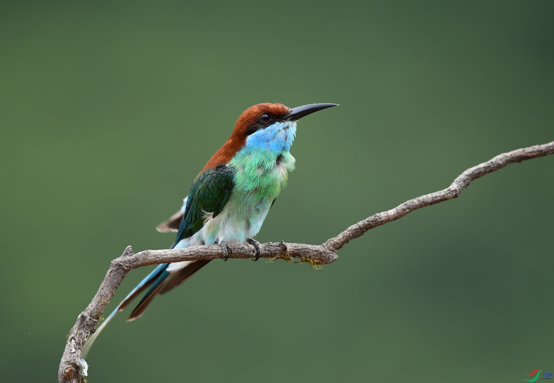 DSC_1108.jpg