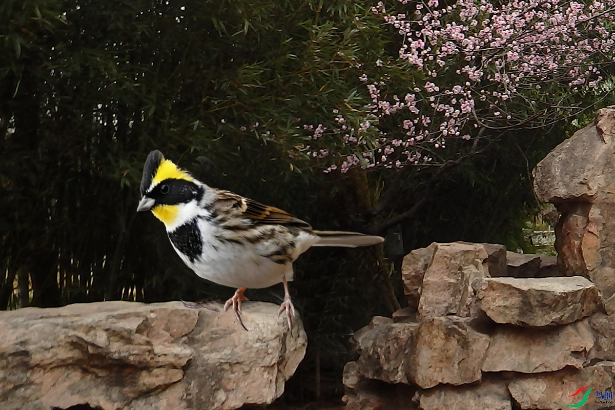 ѹ����Ƭ 039.jpg