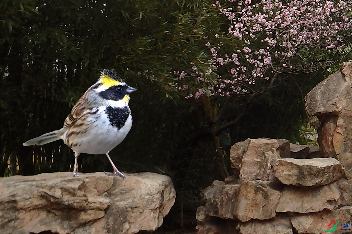 ѹ����Ƭ 039.jpg