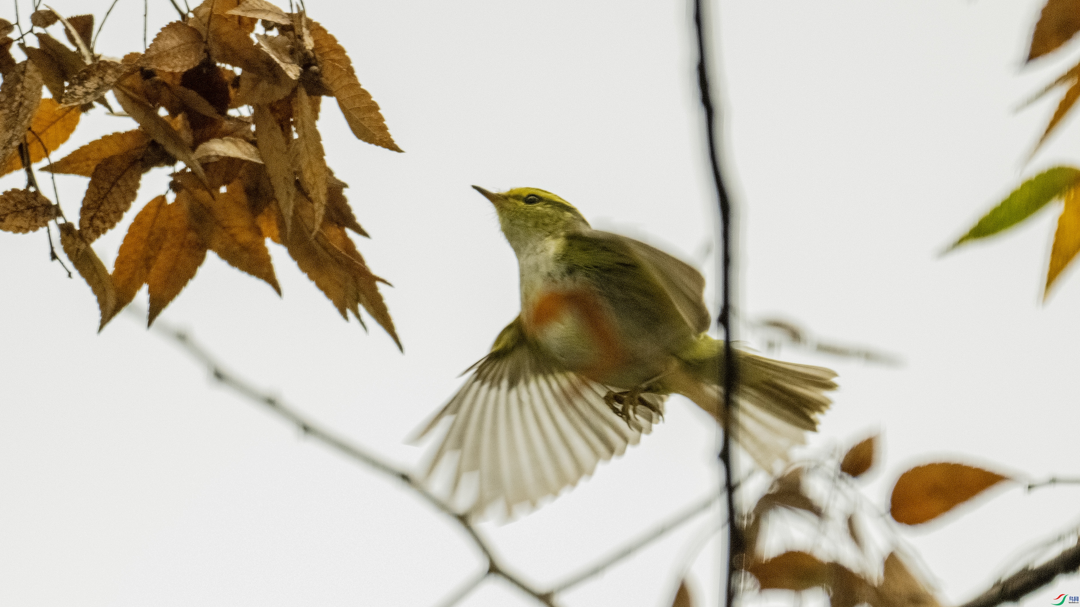 DSC_8868 ����.jpg