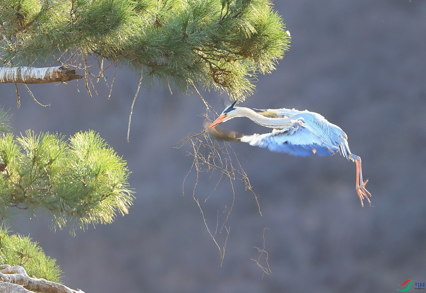 B12I0593 ɭ��.JPG