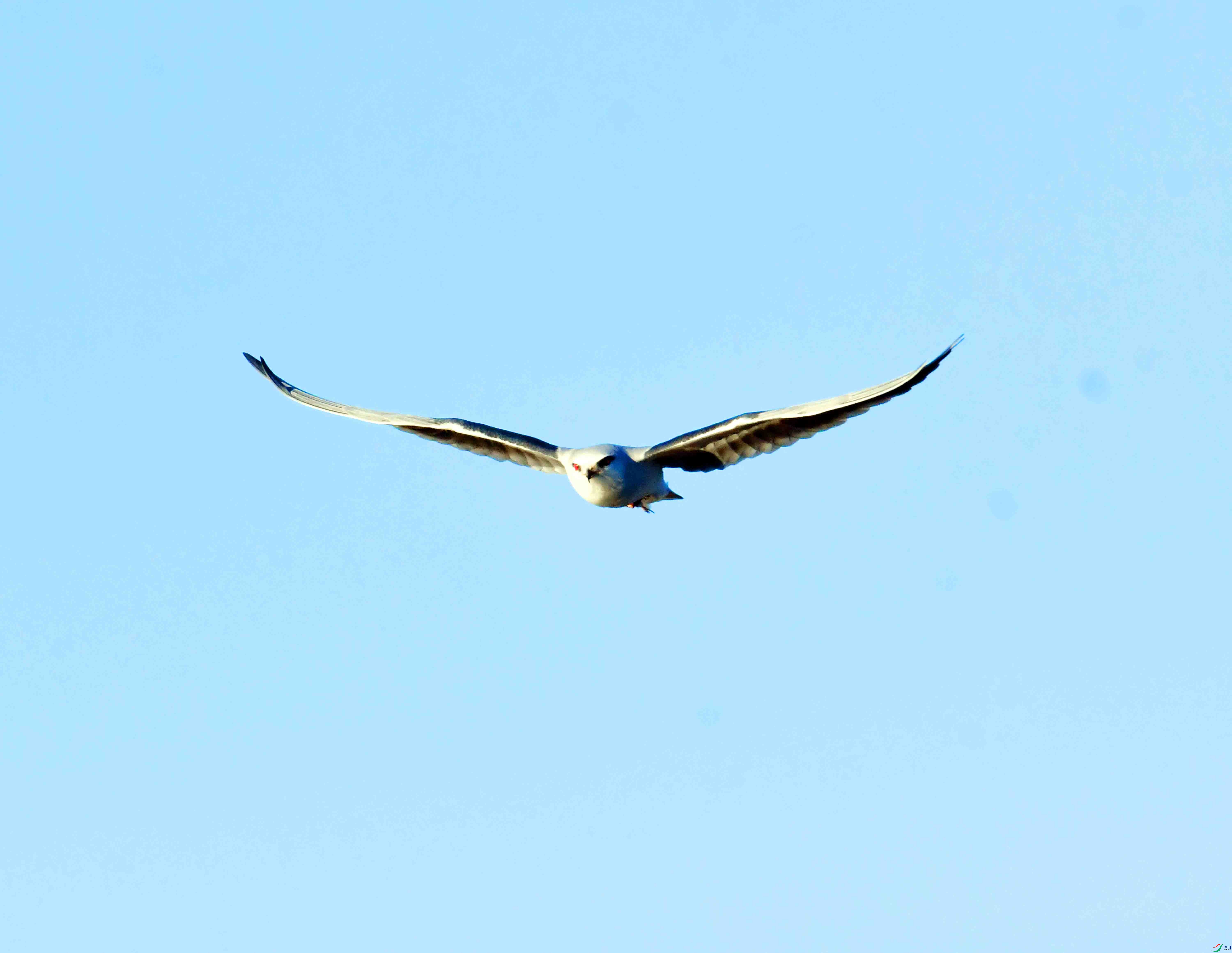 DSC_1581.JPG