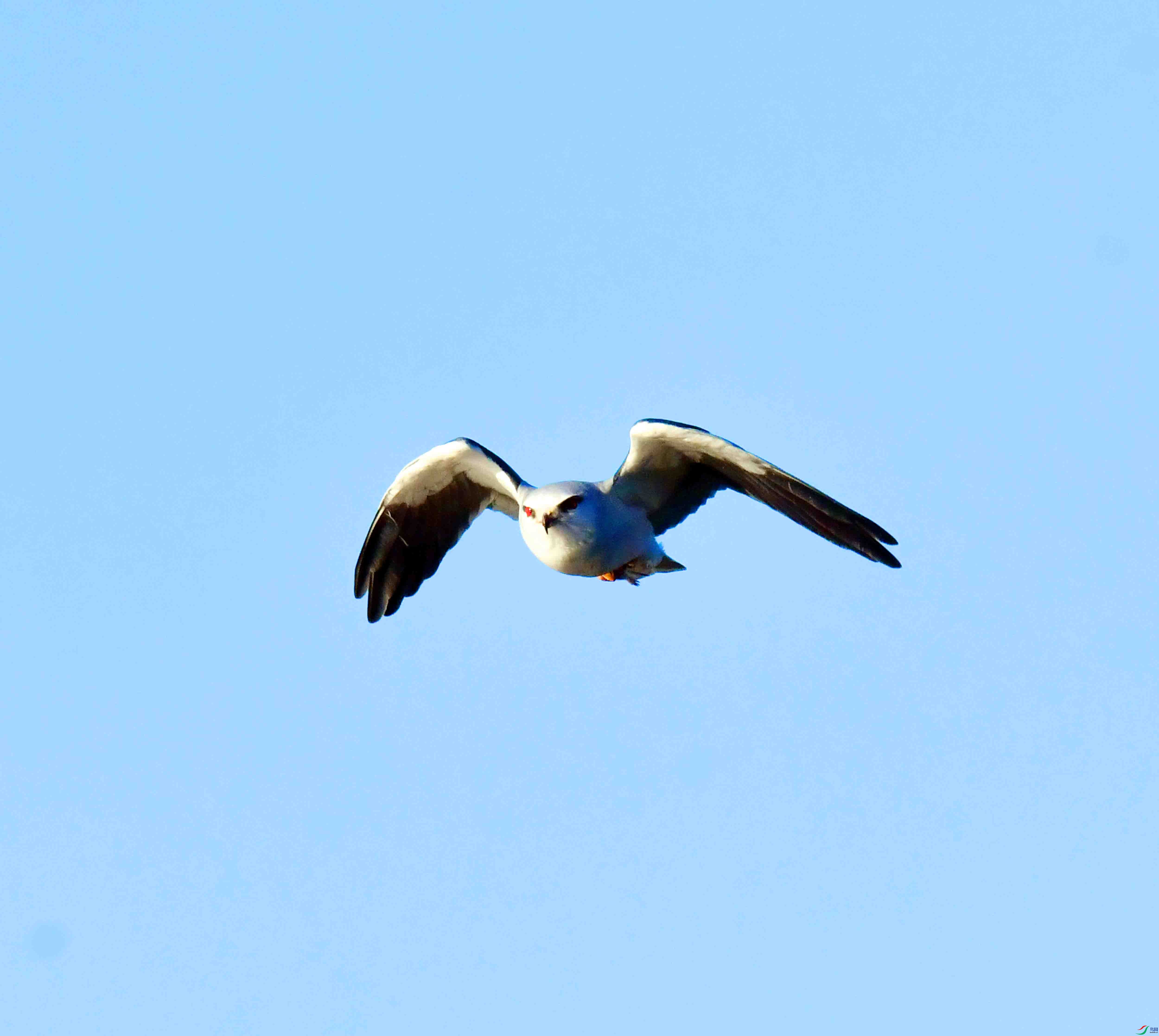 DSC_1583.JPG