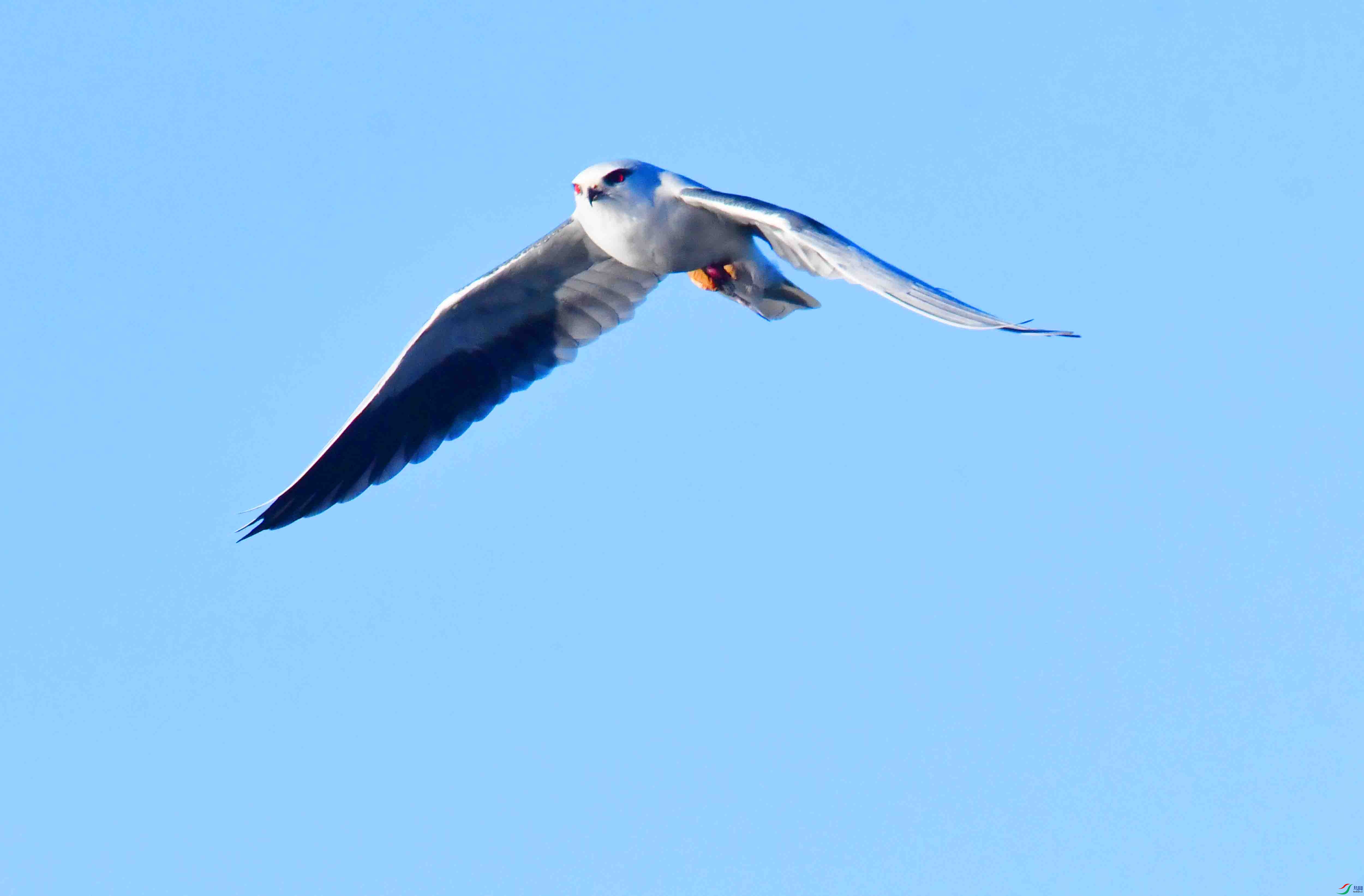 DSC_1587.JPG