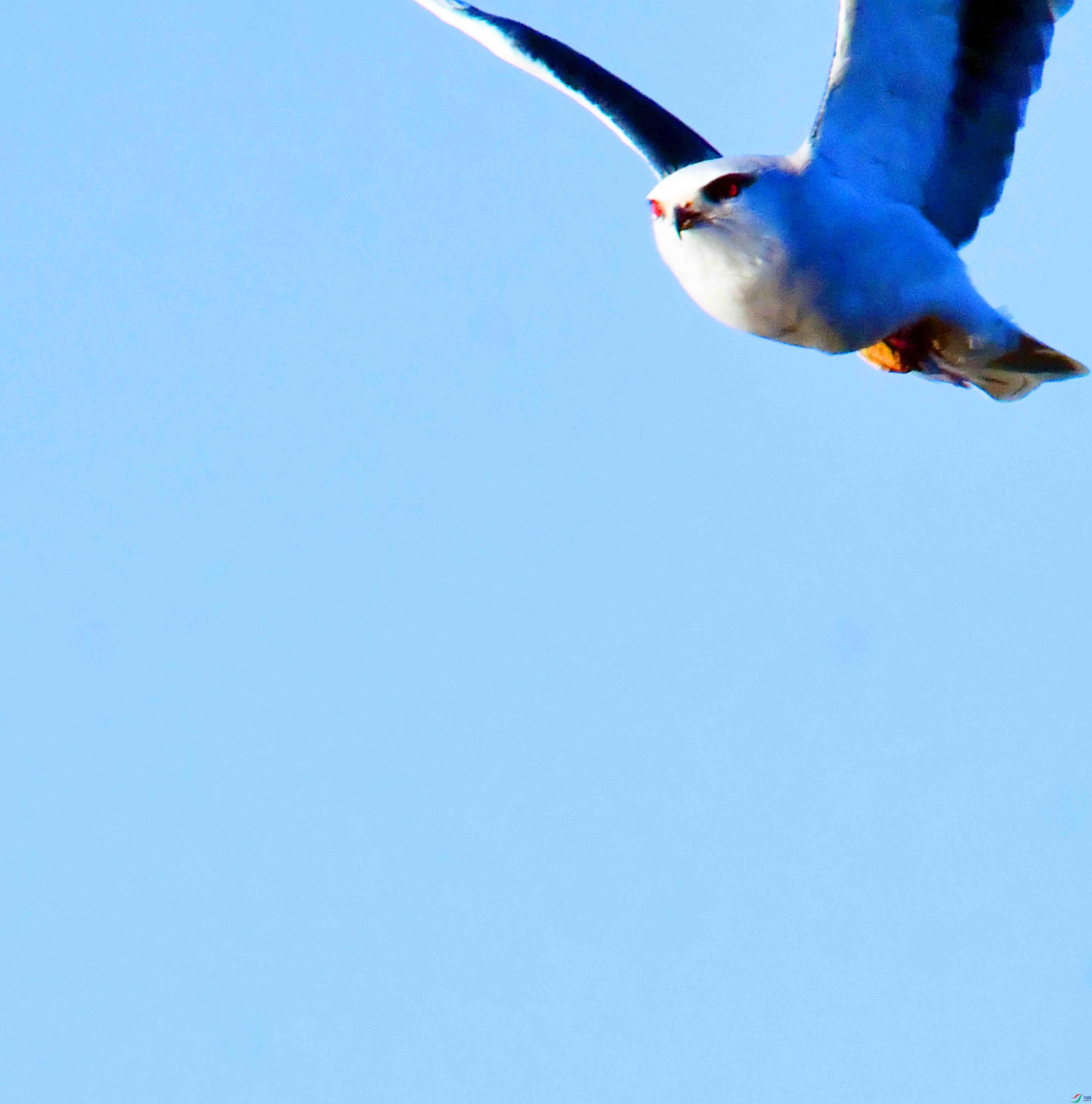 DSC_1589.JPG
