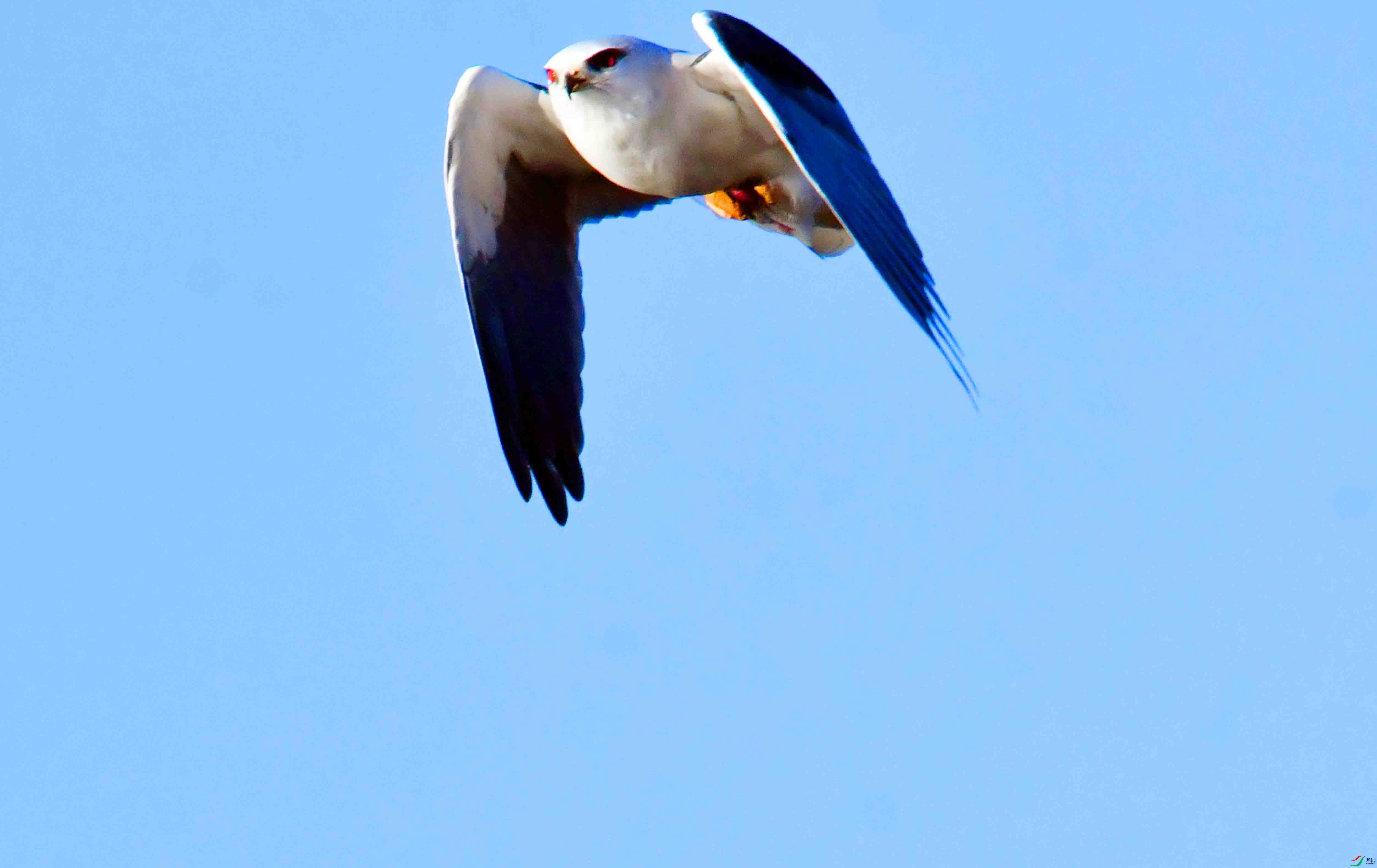 DSC_1588.JPG