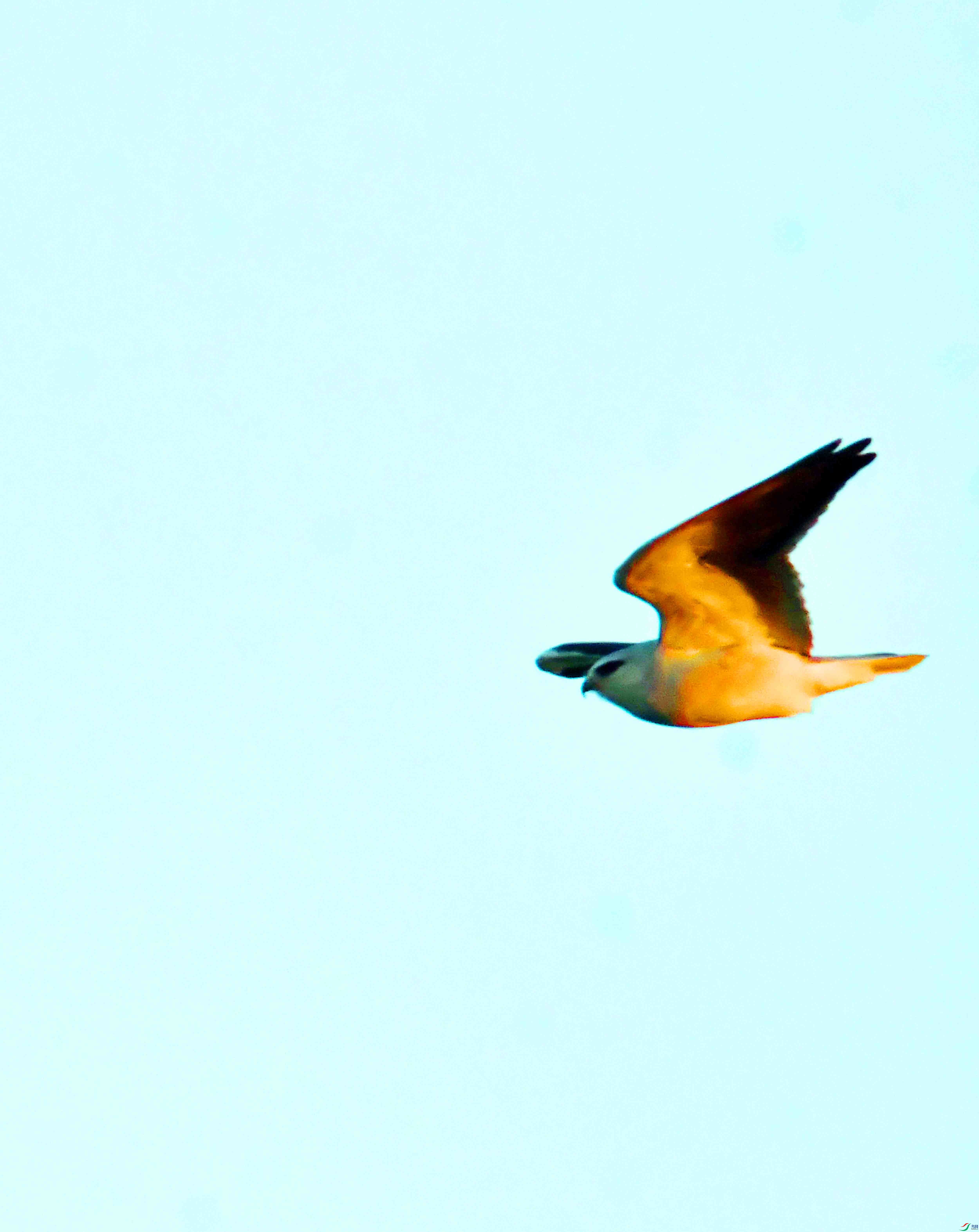 DSC_3101.JPG