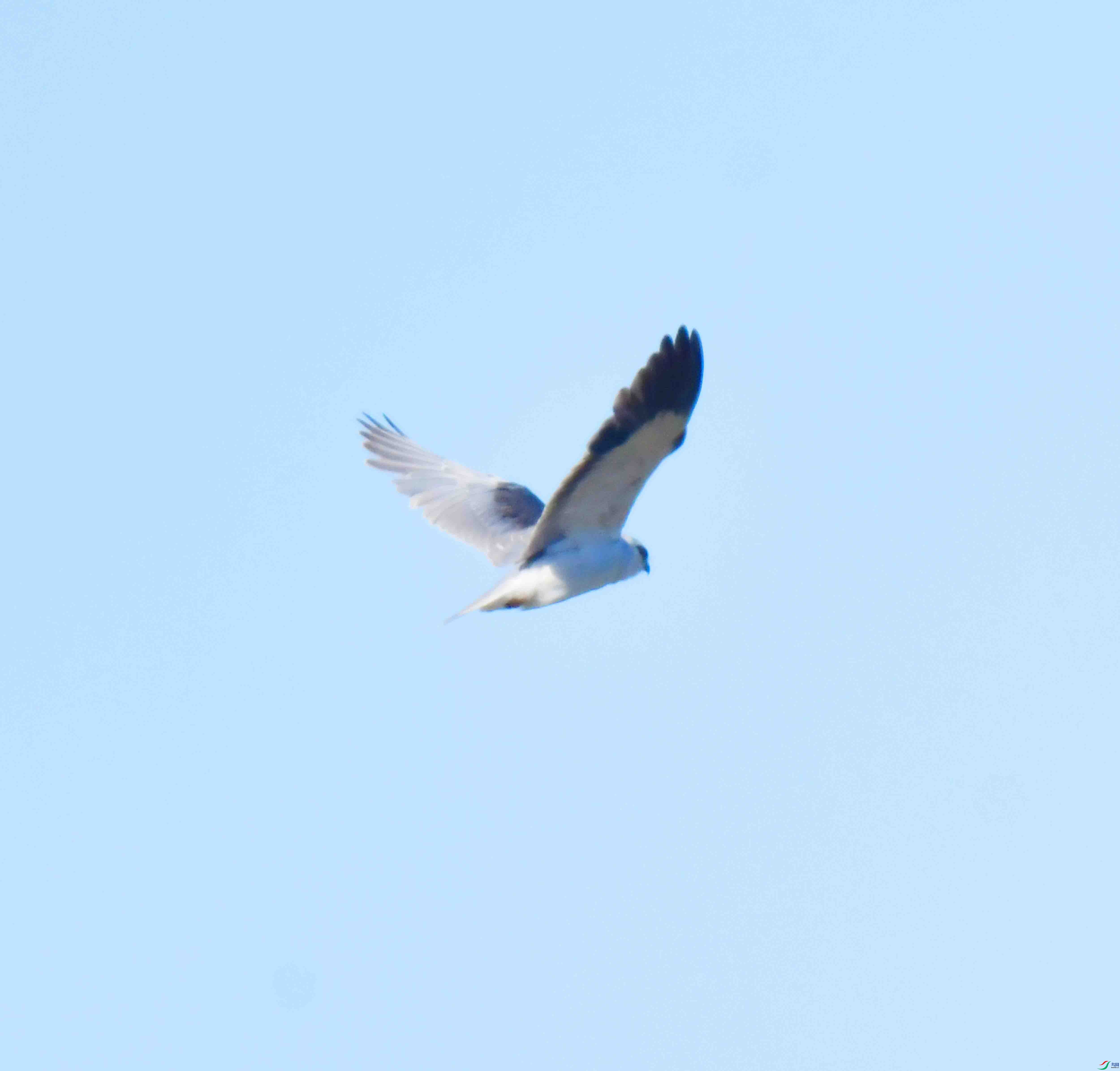 DSC_3782.JPG