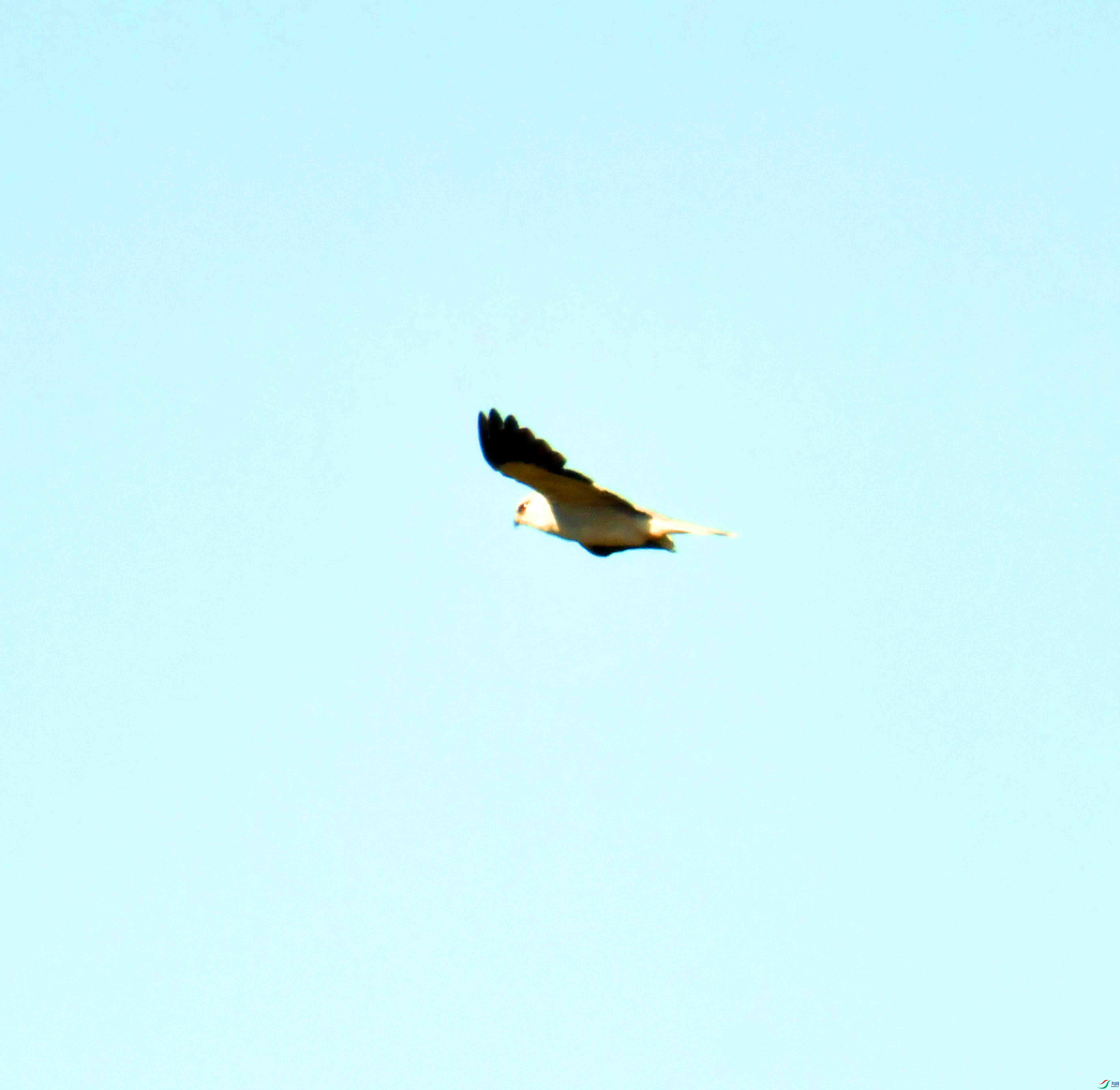 DSC_3790.JPG
