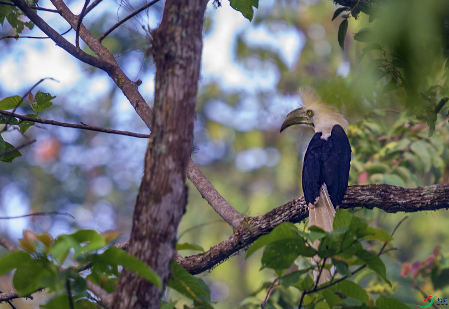 DSC_4352.jpg