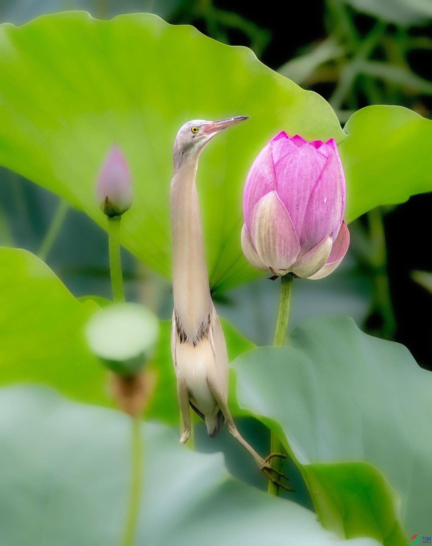 FILE887 ����.jpg