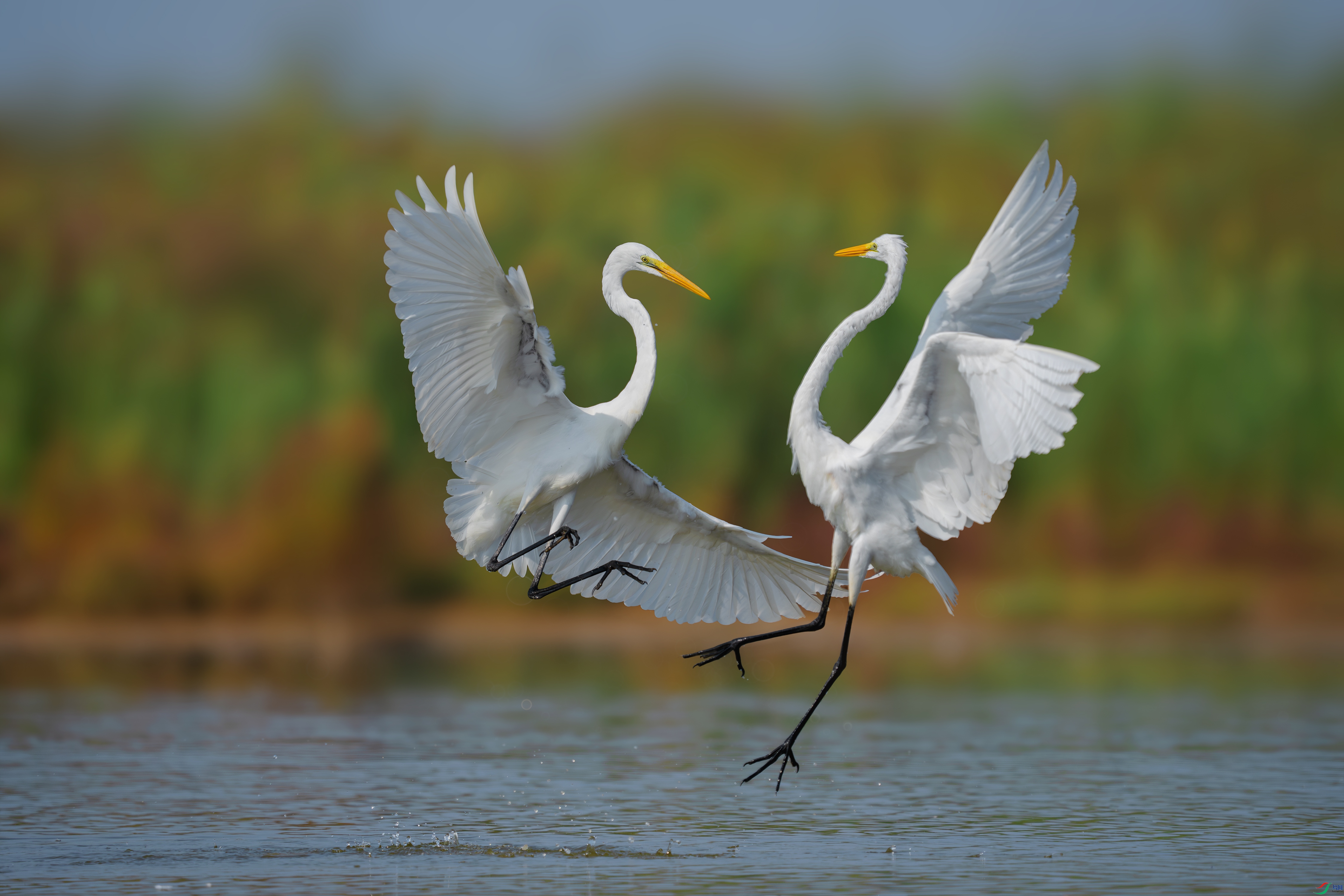 _DSC7502 ����.jpg