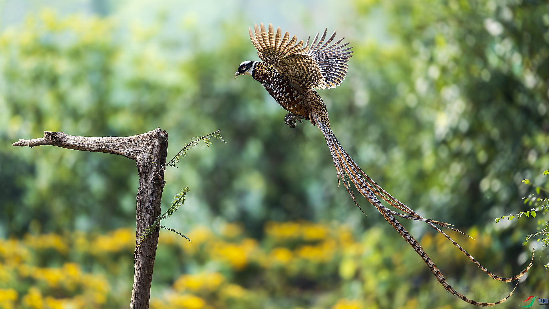 _DSC2335 ���� 2.jpg