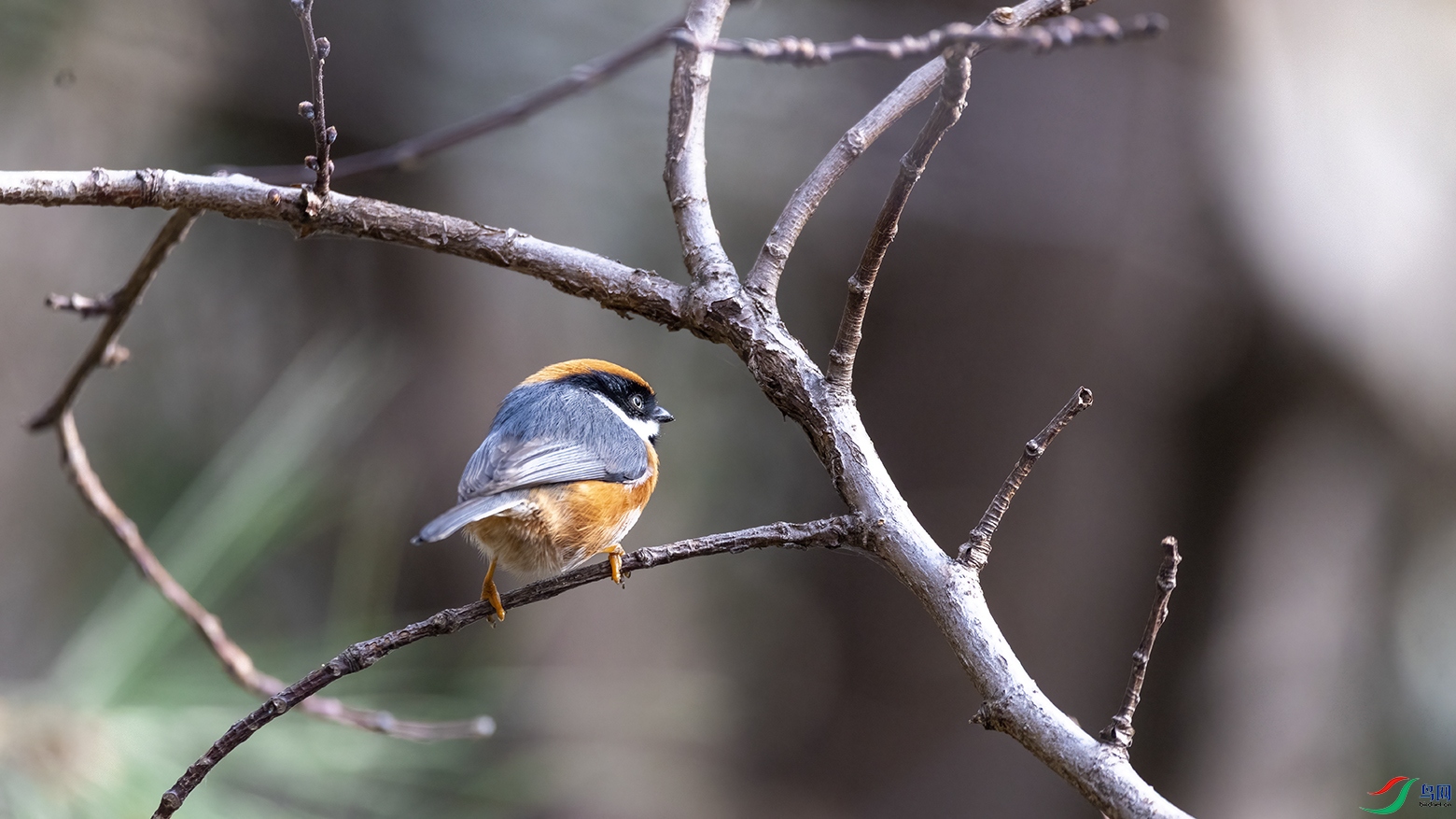 708A6624 ����.jpg